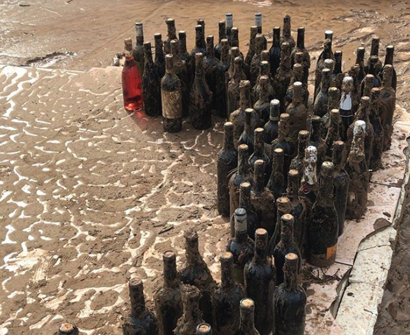 El vi de fang del celler Rendé Masdéu