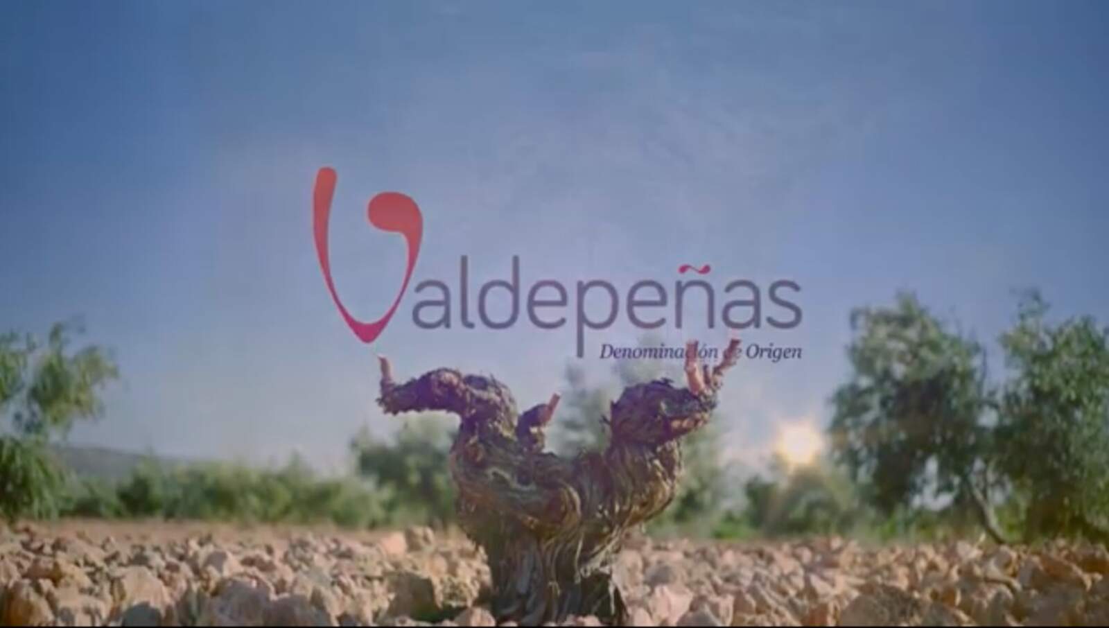 vins de Valdepeñas