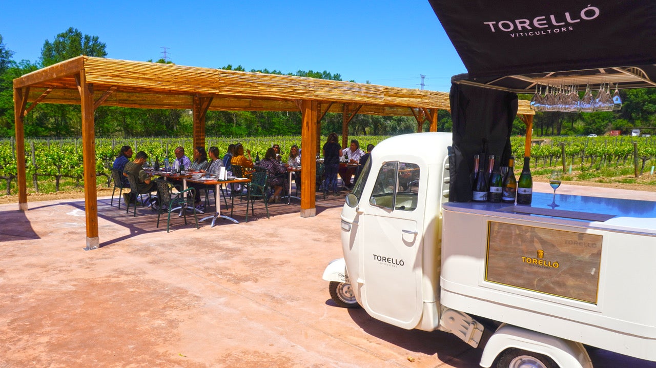 Barbequiú permetrà els visitants del celler gaudir d’activitats enogastronòmiques | Torelló