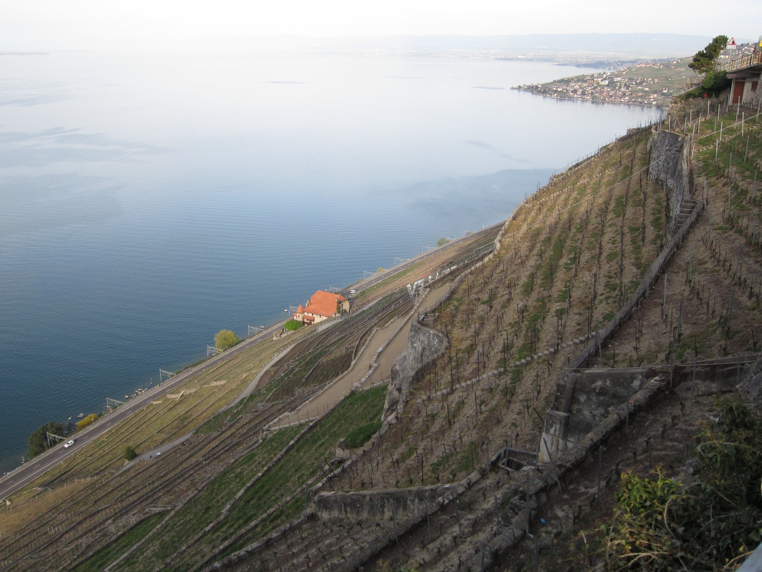 Vinyes a Lavaux, Suïssa, reconeguts com Patrimoni Mundial per la UNESCO però que també tenen problemes per diversos factors | Soazig Darnay