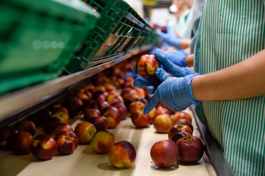 Els sectors productius del món cooperatiu han patit de manera diferent l'impacte de la crisi energètica | Agropecuaria de Soses