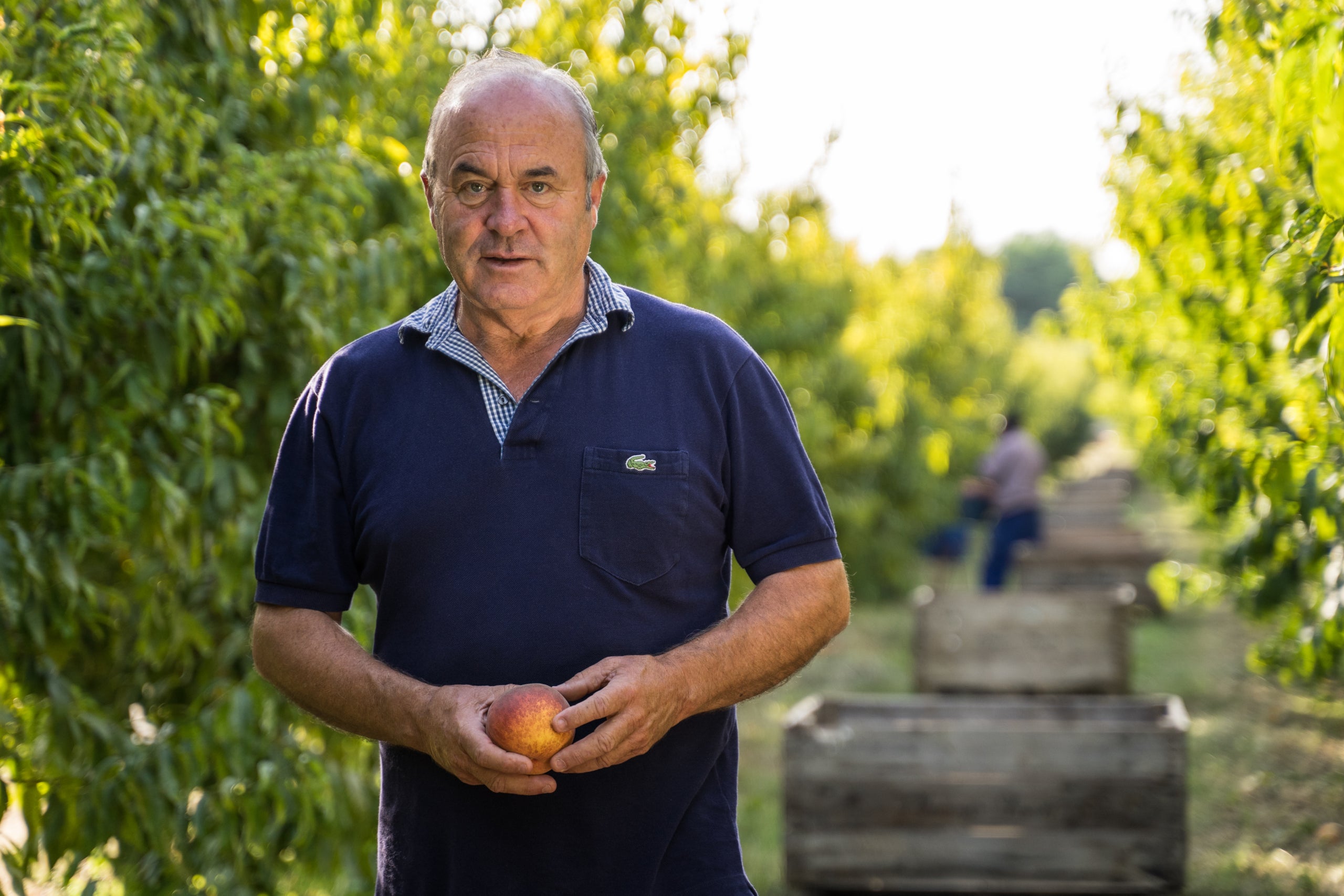 El president de la FCAC, Ramon Sarroca, en una imatge d'arxiu | FCAC