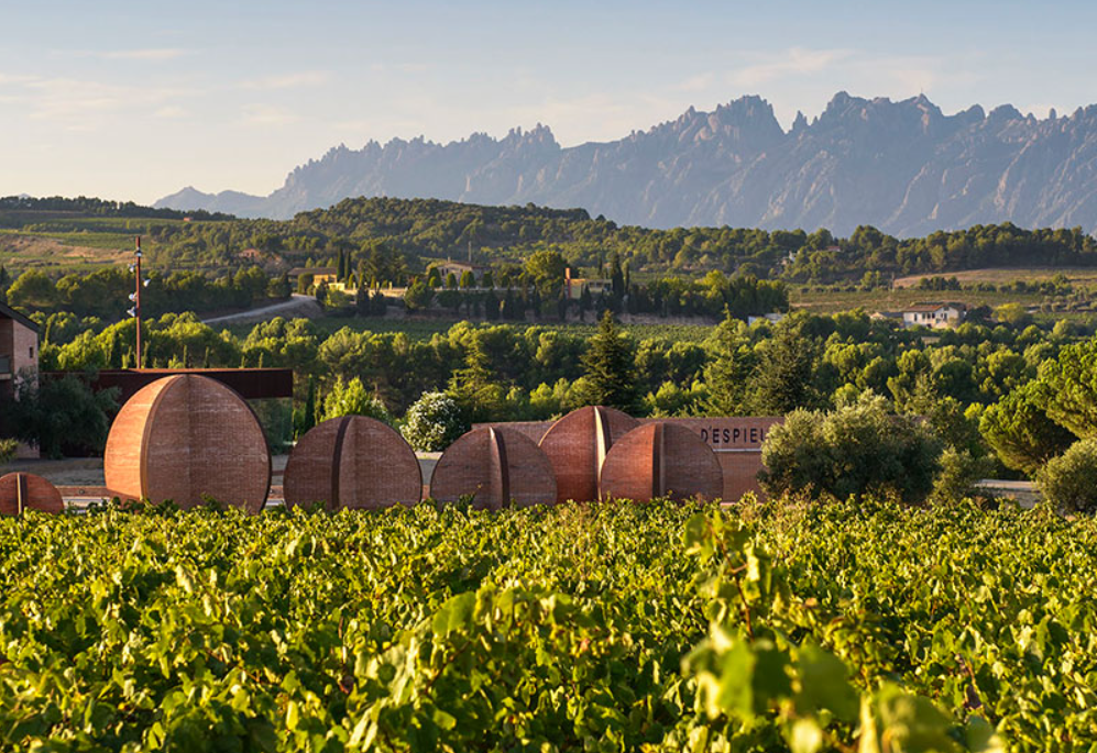 La finca d'Espiells de Juvé & Camps | J&C