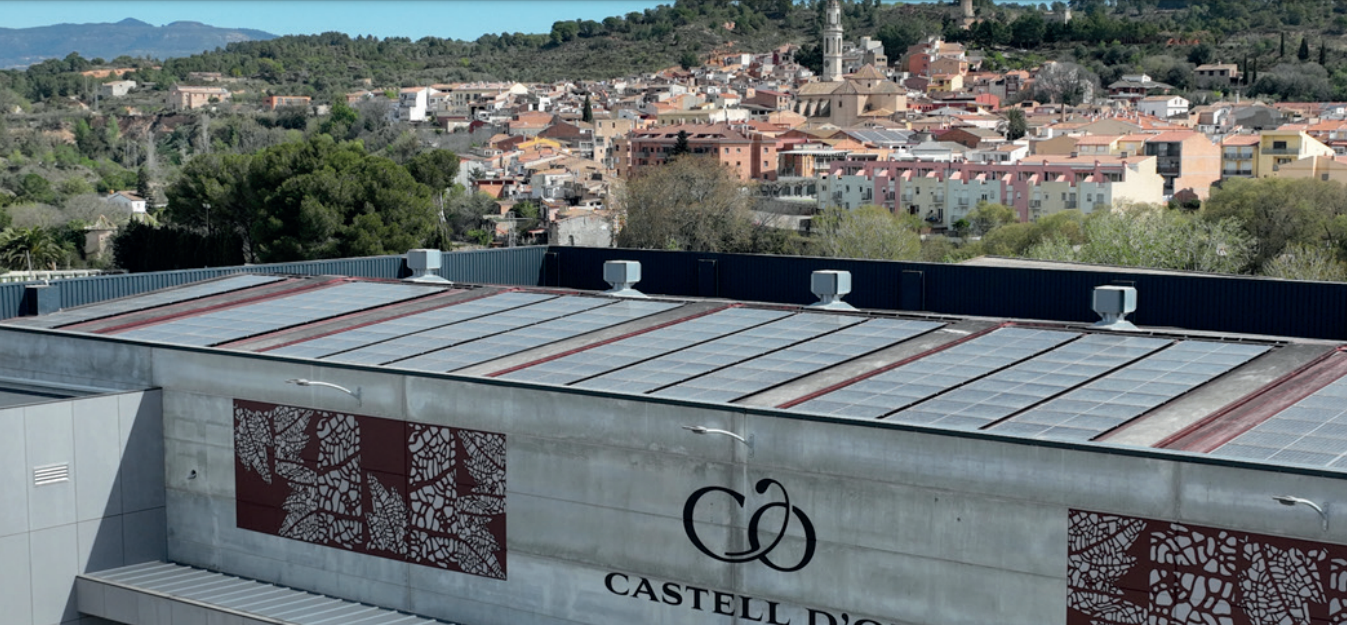 La unió de cooperatives que forma Castell d'Or és hereu d'una gran tradició catalana | Castell d'Or
