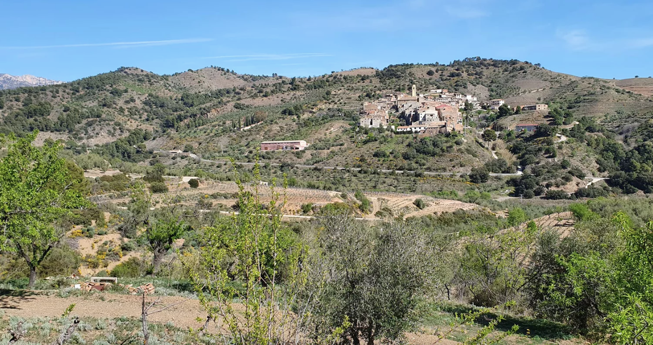 Els vins d'Albert Jané volen reflectir el caràcter, el patrimoni i la tradició de la terra que els ha engendrat | Ritme Celler