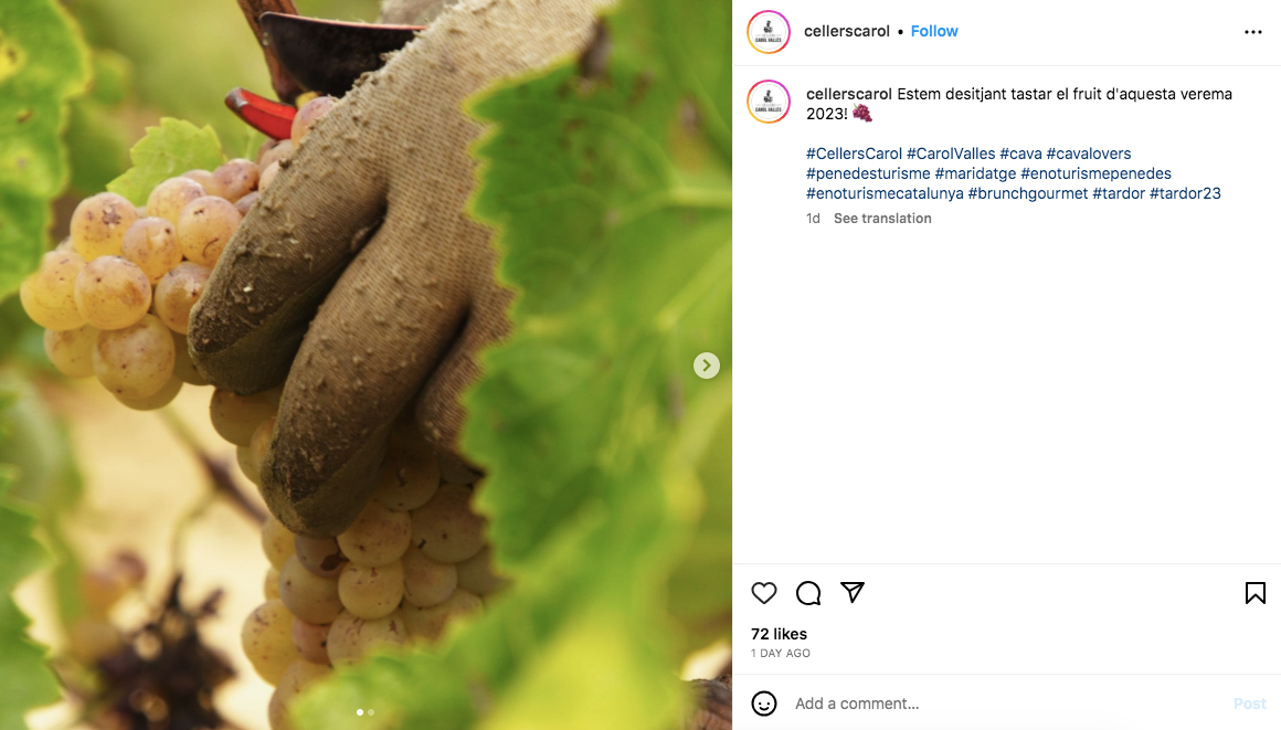 Carol Vallès ha ganado el premio Vinari Wine Palace en las mejores redes sociales | Bodegas Carol Vallès