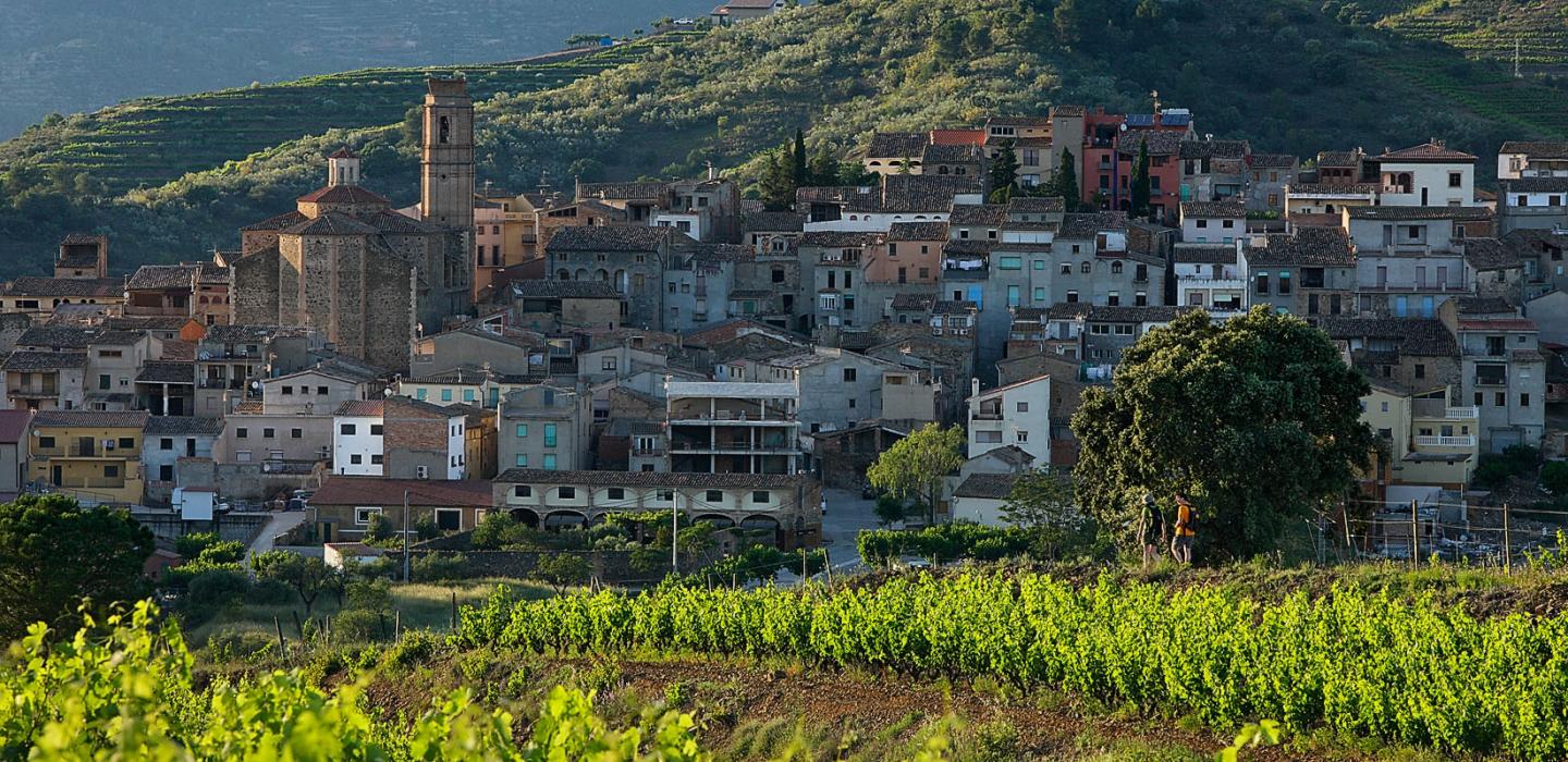 Imatge de Gratallops | Foto: Turisme Priorat 