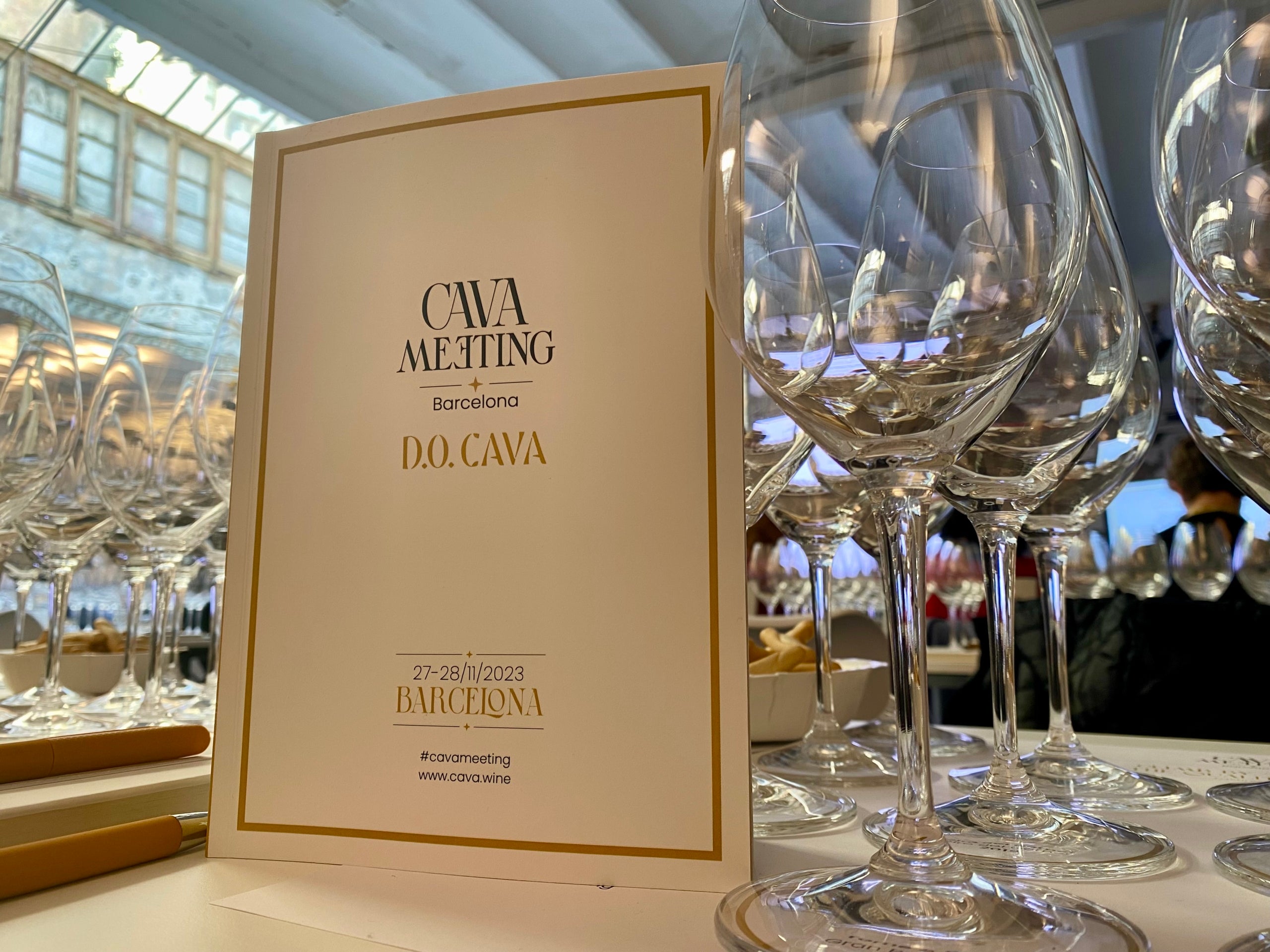 El Cava ha reunit diversos professionals d'aquí i fora en aquest primer congrés | Foto: E.V.