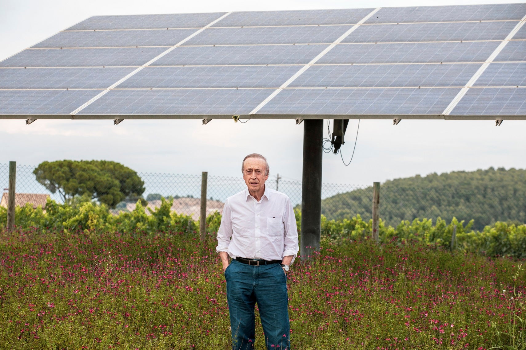 Miguel A. Torres, en una imatge a les vinyes amb la placa solar | Foto: Família Torres 