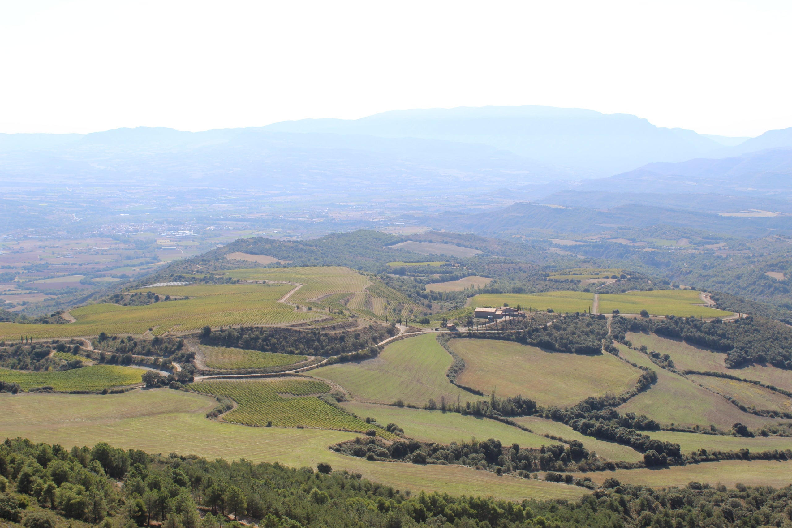 Imatges aèries de la finca | Foto: Rafa Gimena
