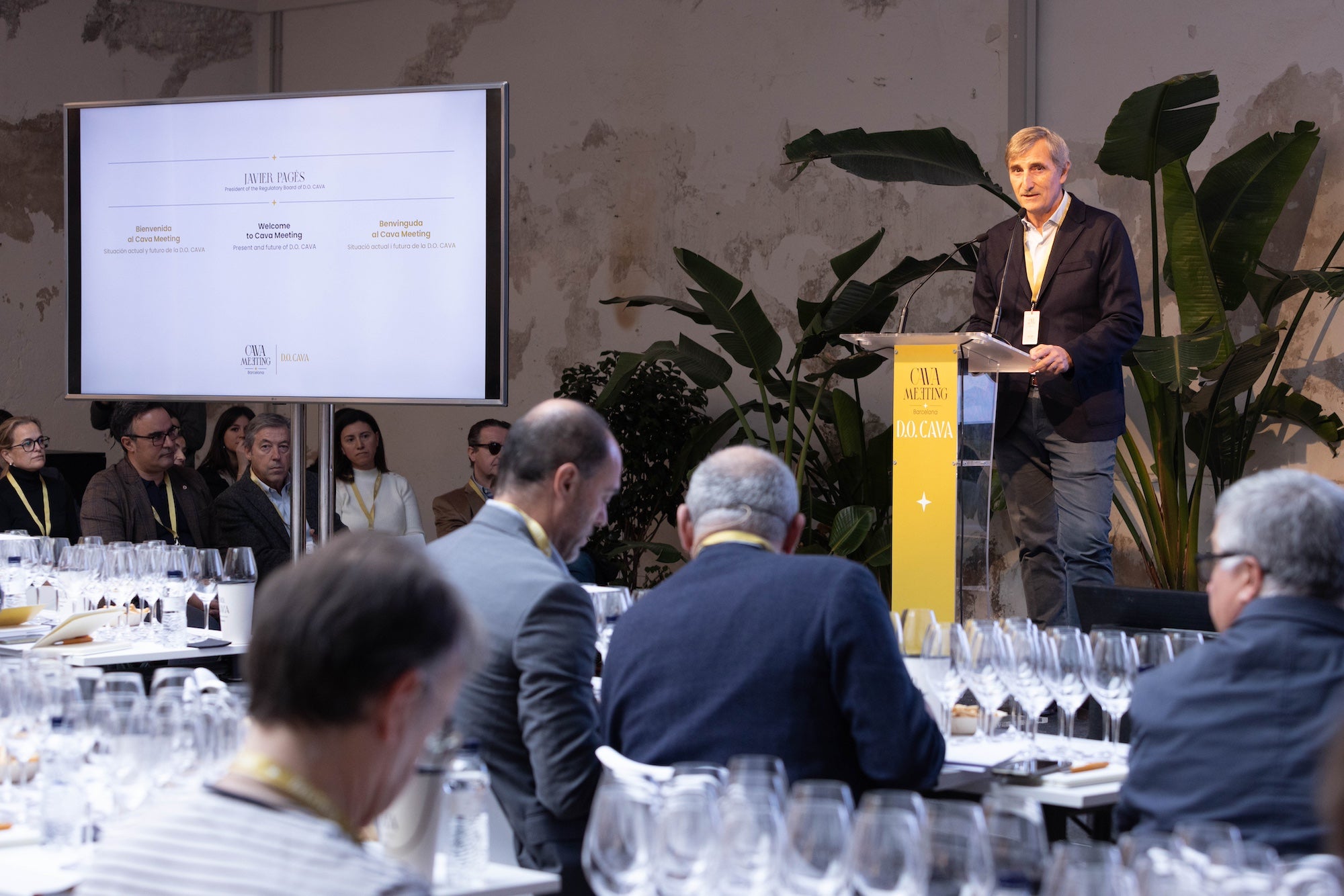 Javier Pagès, durant la ponència inaugural del Cava Meeting | Foto: cedida 