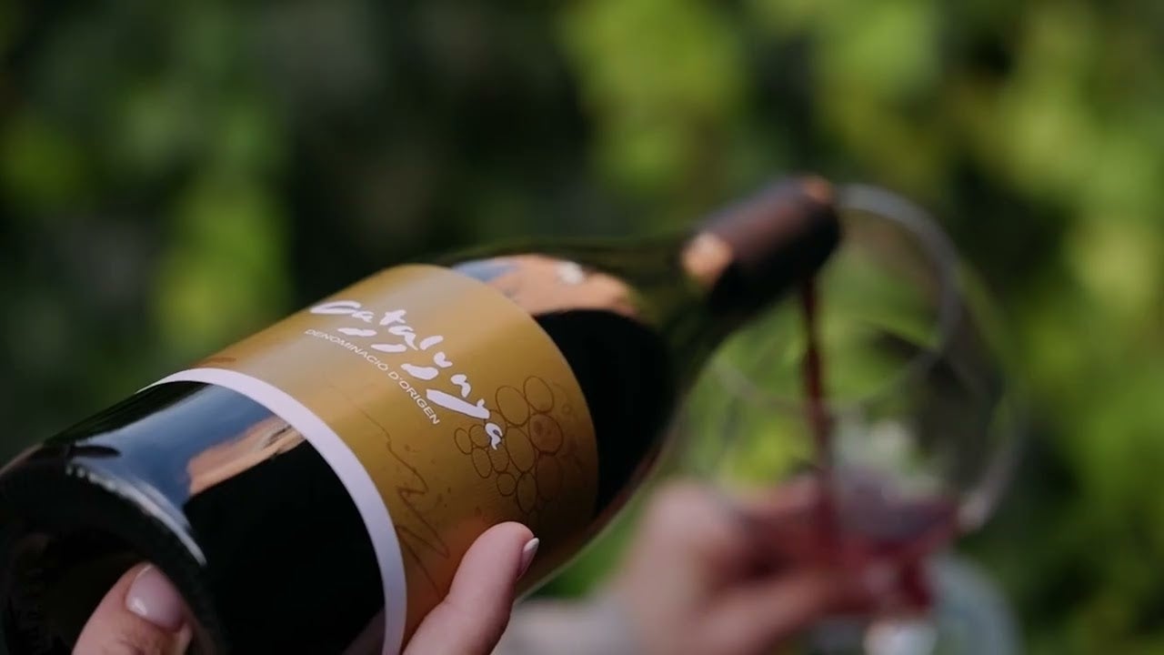 Vins amb DO Catalunya | Foto: DO CAT