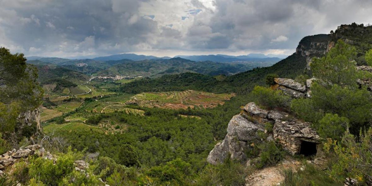 Paisatge de vinya del Priorat | Foto: Candidatura Priorat