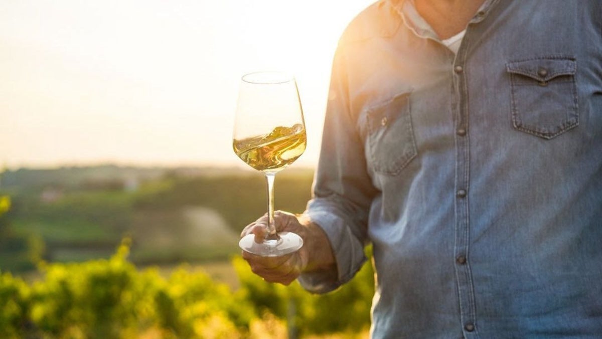 El municipi vol reivindicar els vins brisats, històrics i tradicionals a la Terra Alta | Foto: Ajuntament de Bot 