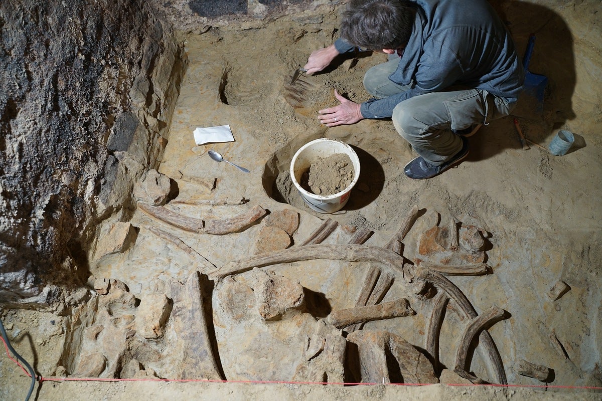 L'arqueòleg Marc Händel desenterrant els ossos | Foto: OeAW-OeAI / H. Parow-Souchon