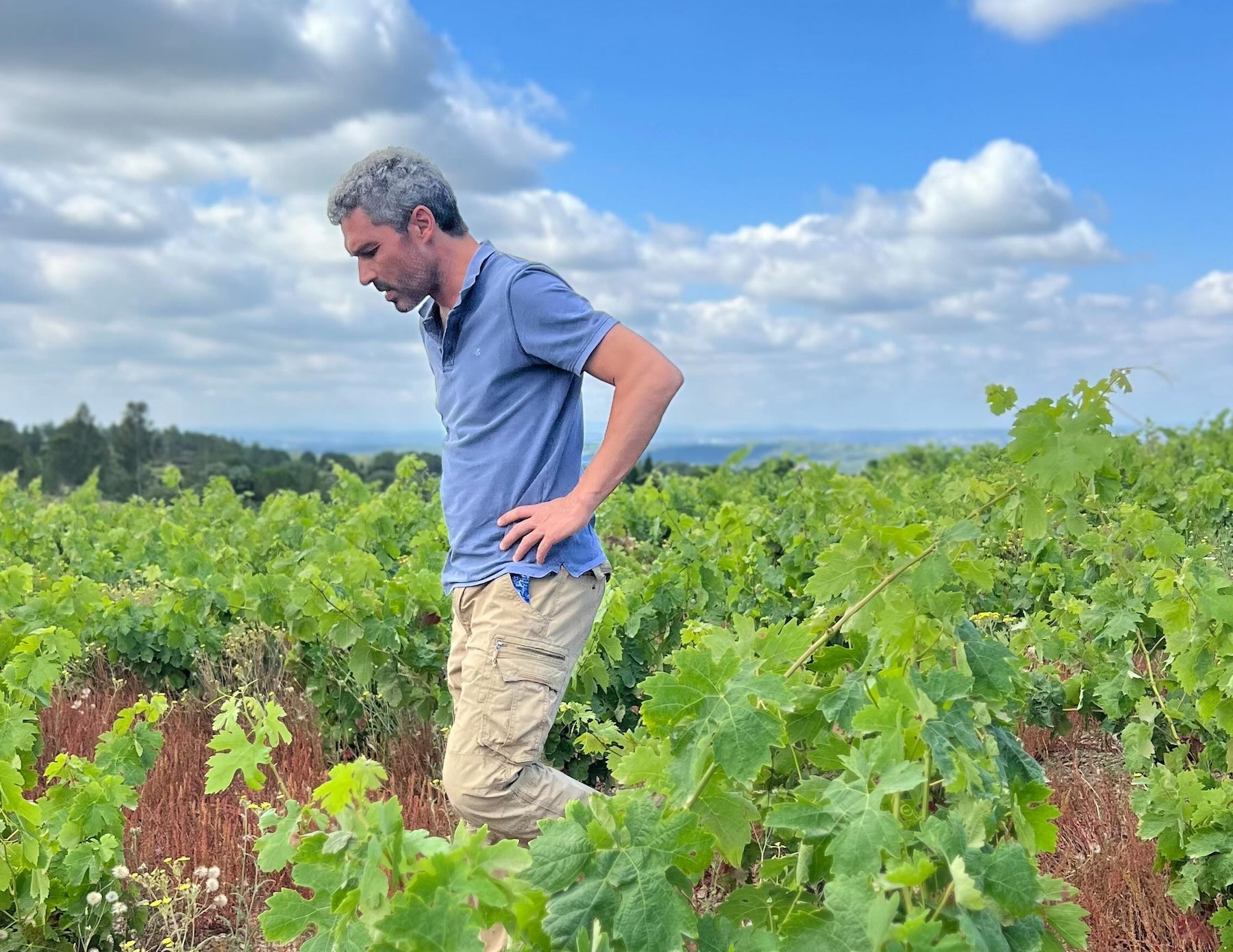 El sommelier Roger Viusà a la vinya | Foto: La Plaça del Vi 
