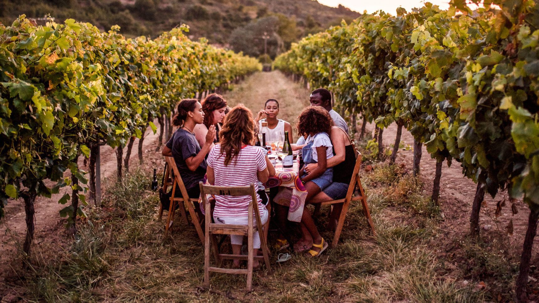Esmorzar entre vinyes en una finca de L'Olivera | Foto: Ruta del Vi de Lleida 