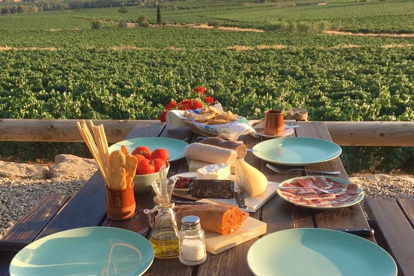Gastronomia entre vinyes, a Giró del Gorner | Foto: Giró del Gorner 