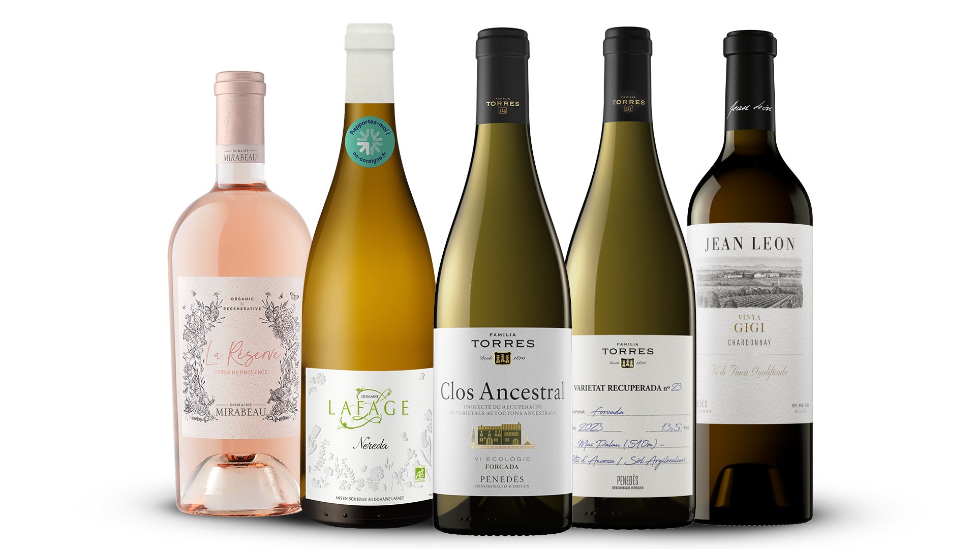 Els primers vins certificats | cedida 