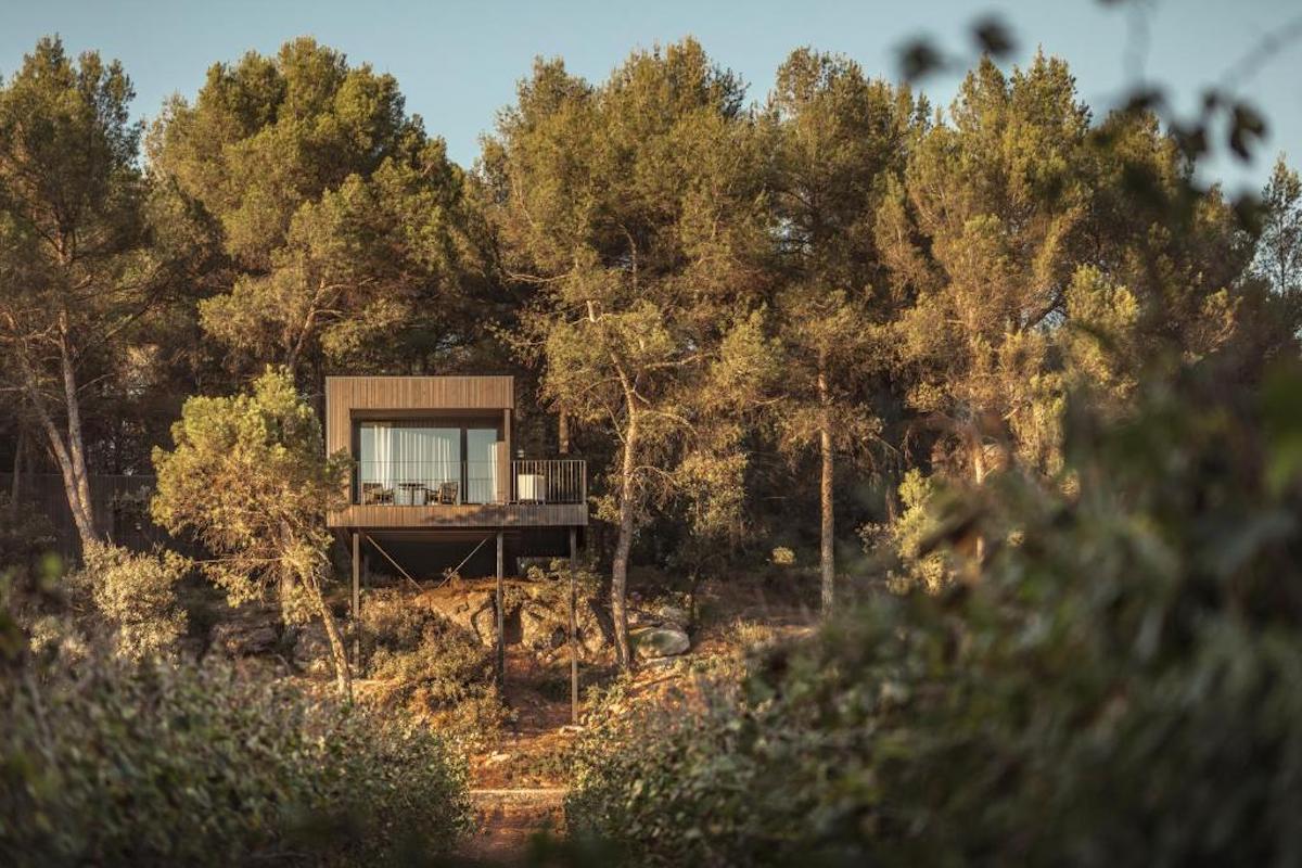 Les Cabanes entre vinyes d’Oller del Mas / Cedida