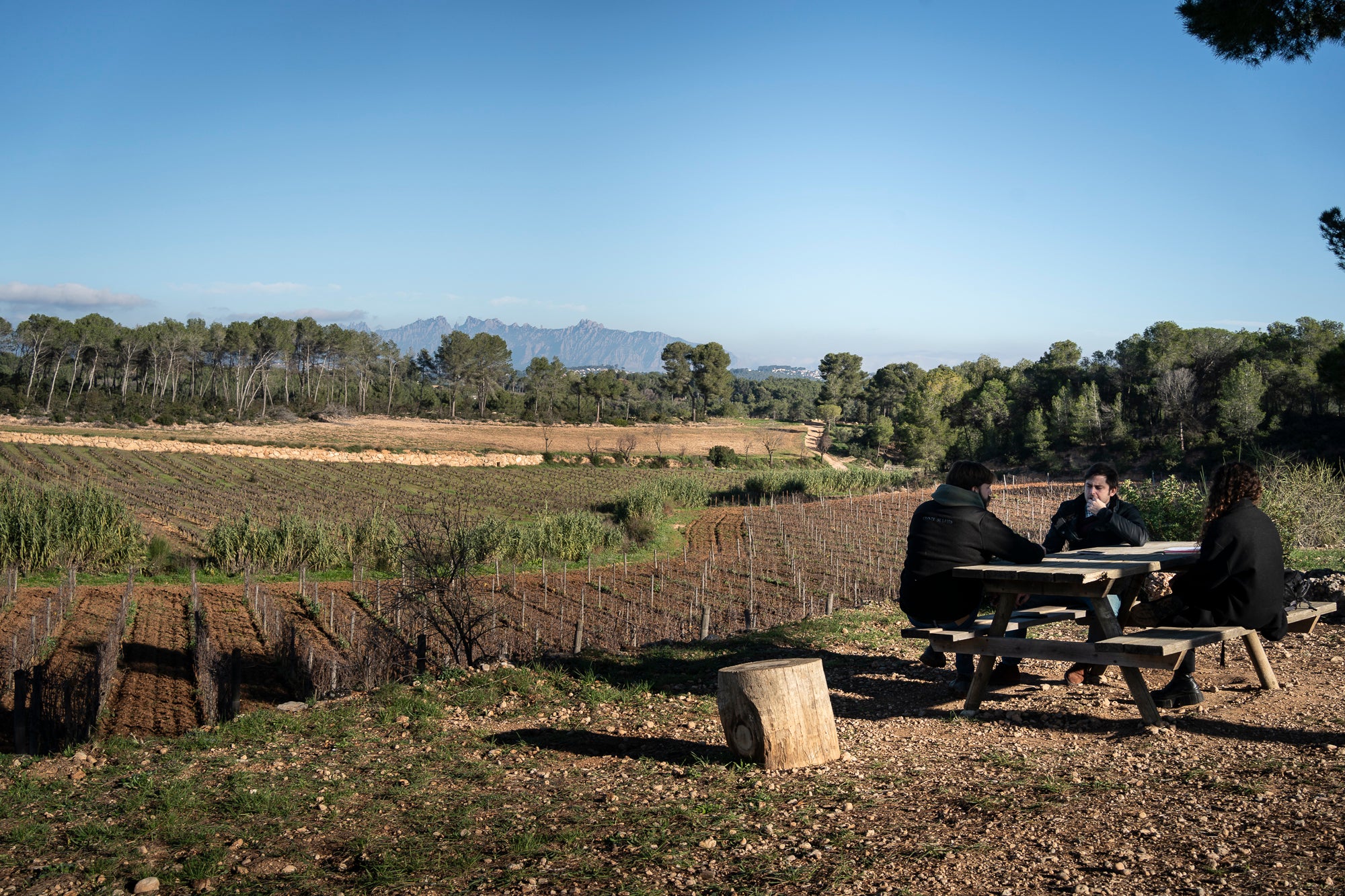 Entrevista a Leo i Roc Gramona, sisena generació del celler Gramona Batlle / Mireia Comas