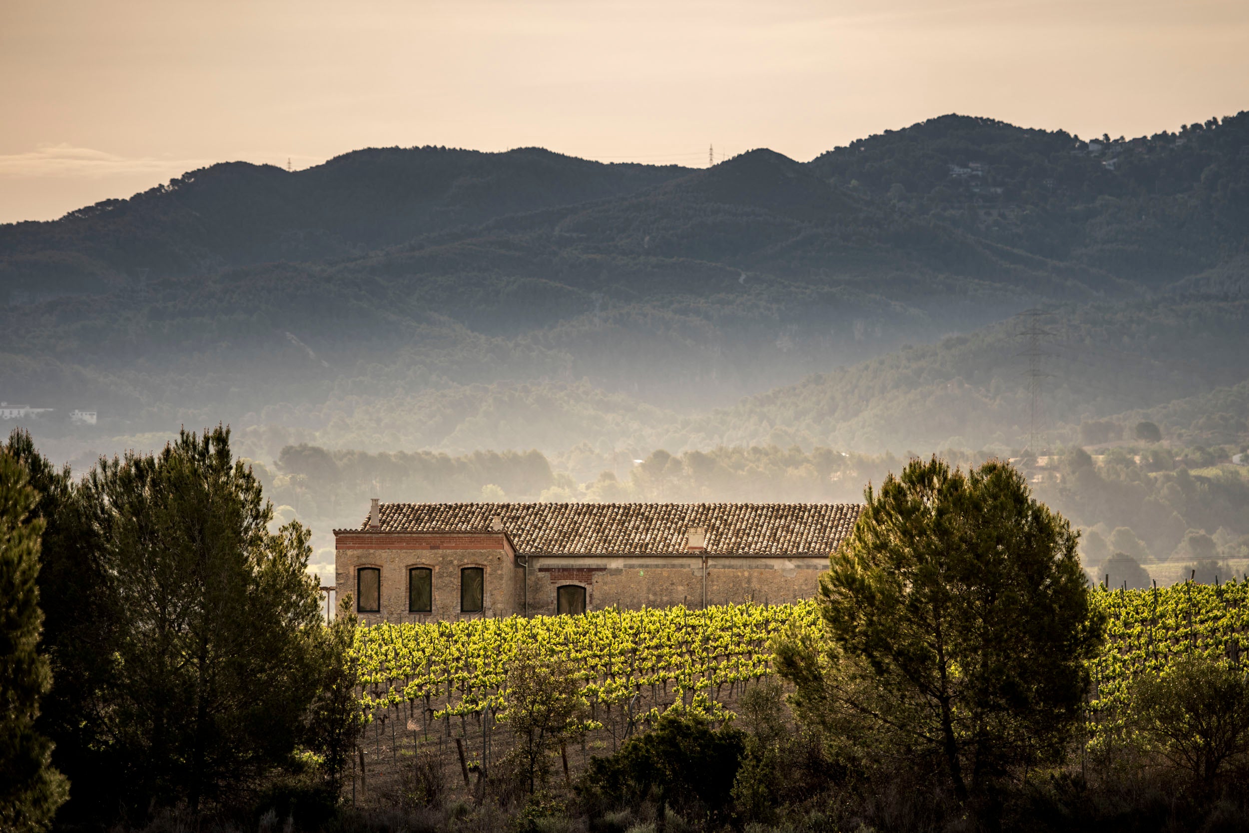 Imatge de la finca Can Rossell de la Llena de Viader al Penedès / Cedida