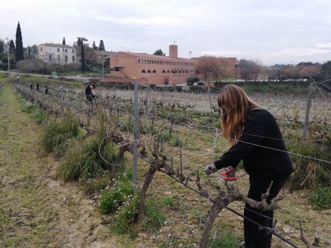 Imagen de dos alumnos de la Escuela Agraria de Viticultura y Enología Mercè Rossell i Domènech / Cedida