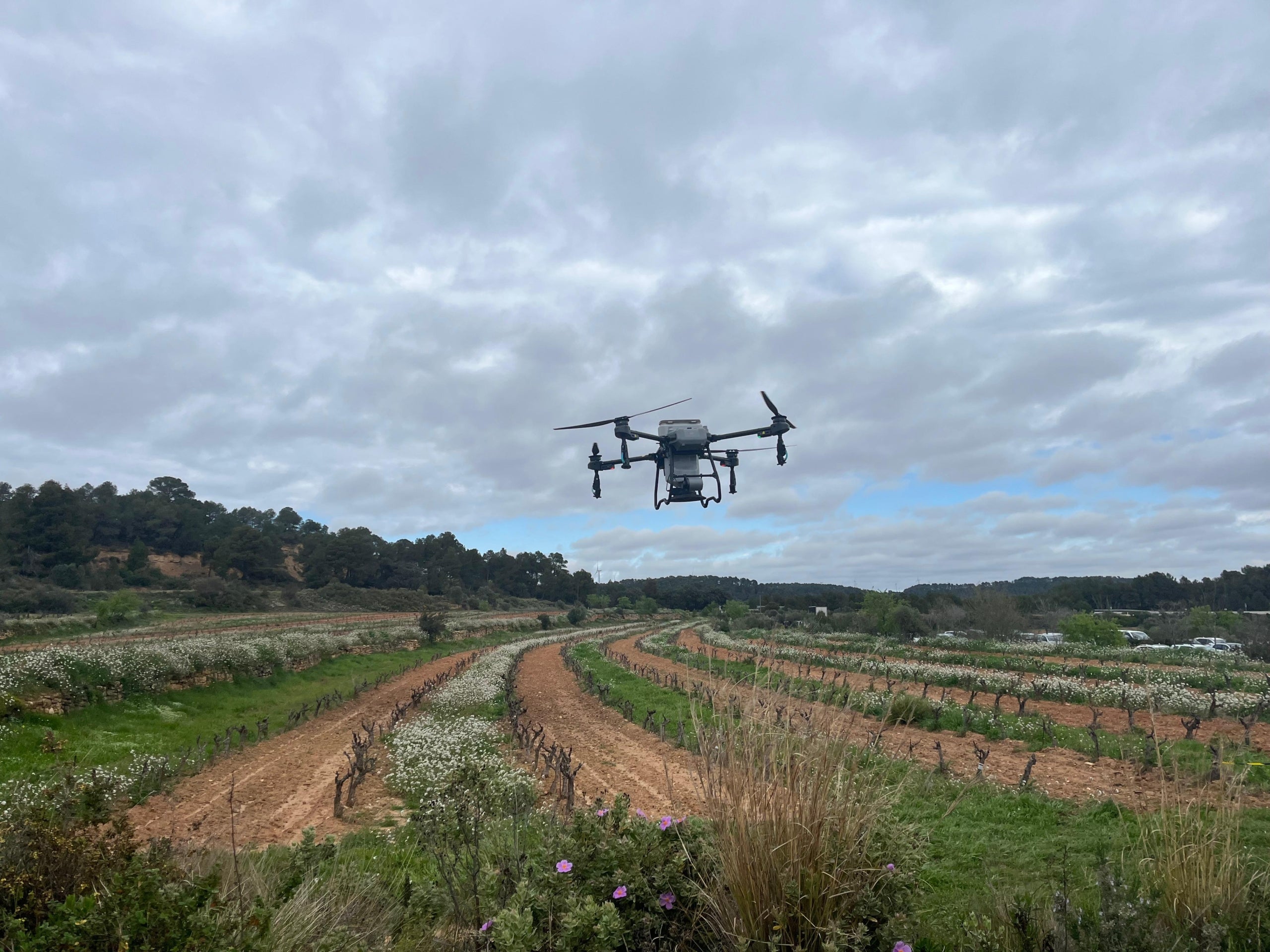 Imatge d'un dron d’AgroSmart Robotics by Arvipo / J.C.