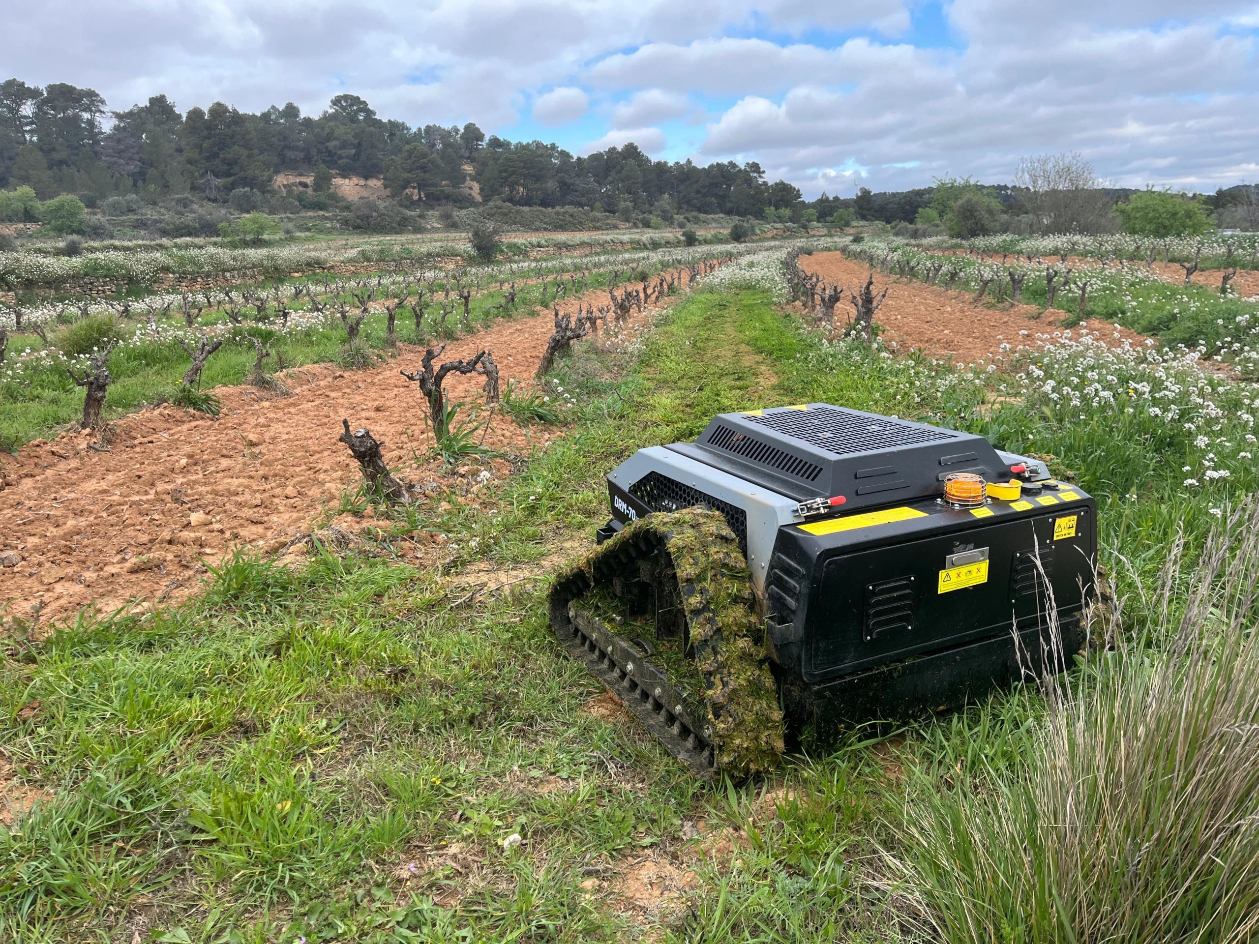 Imatge del vehicle per desbrossar d'Arvipo / J.C.