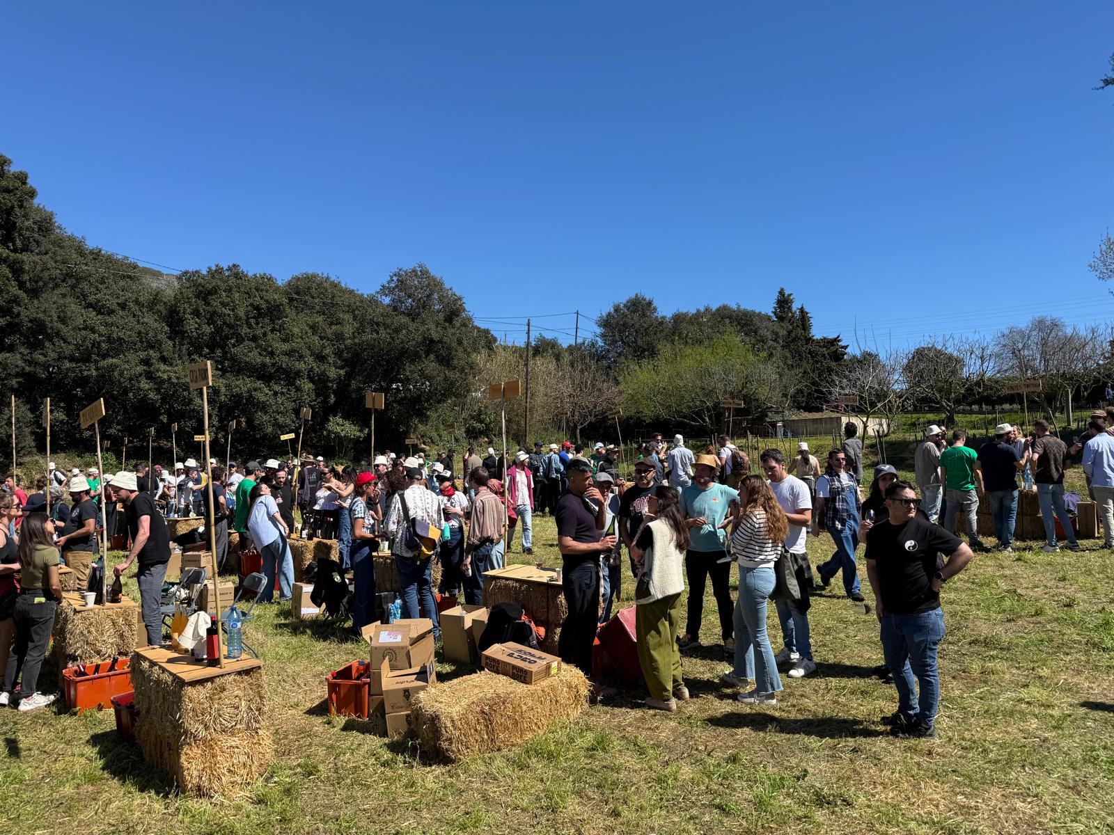 Imatge de la quarta edició de la fira de vins naturals Natrus / O.P.