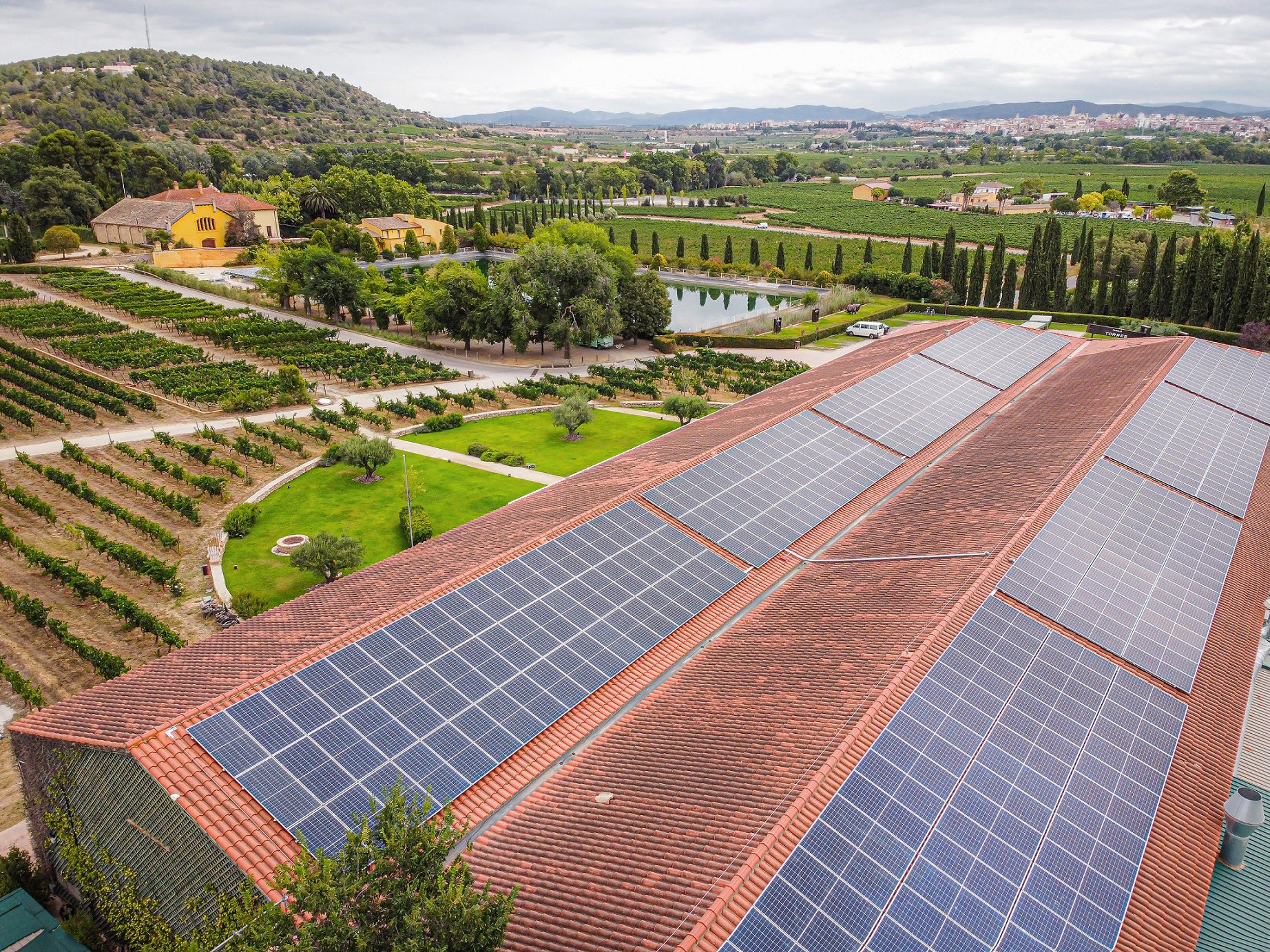 Imagen de placas solares de la Família Torres, en el Penedès / Cedida