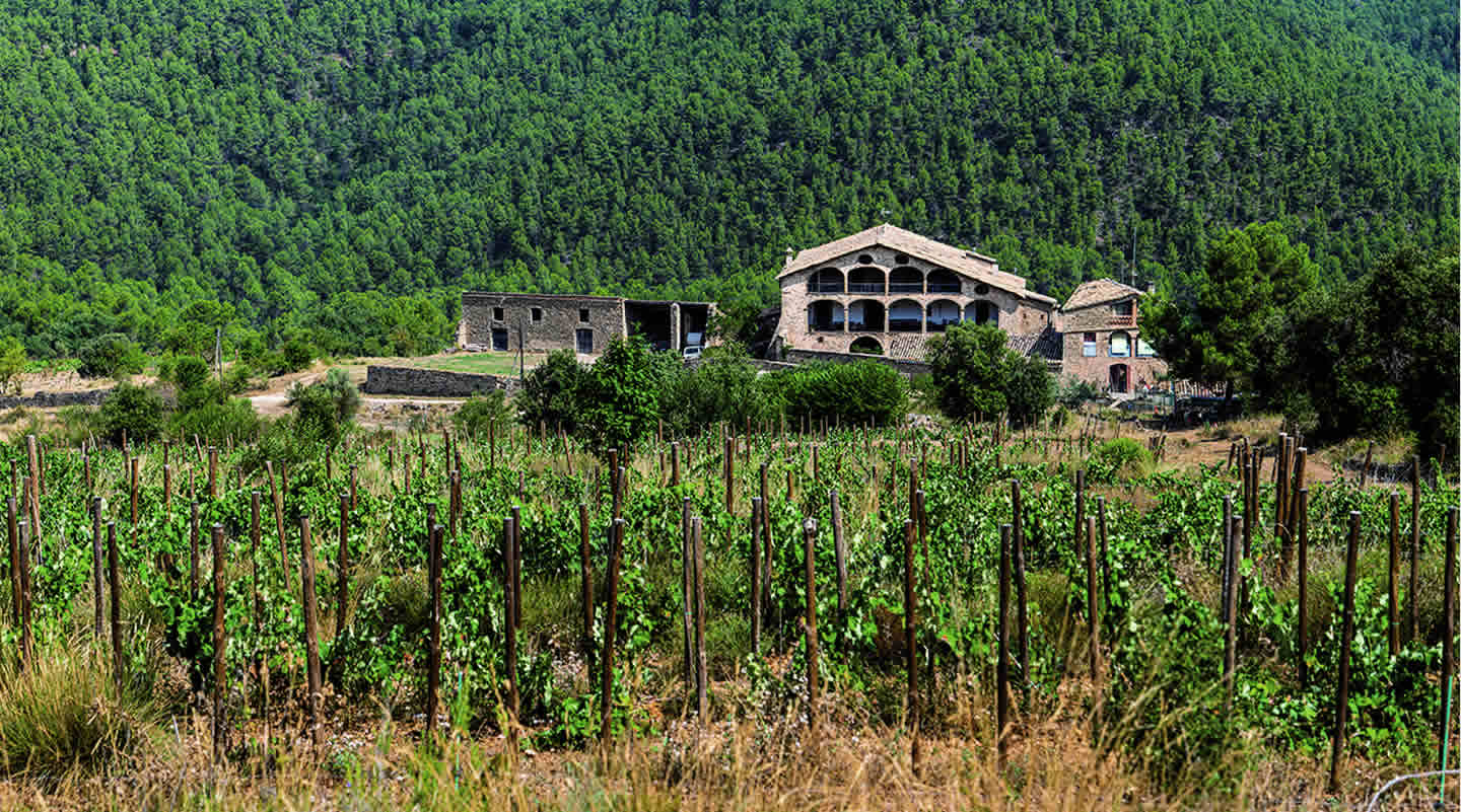 Imatge del celler Les Acàcies / Ruta del vi del Bages