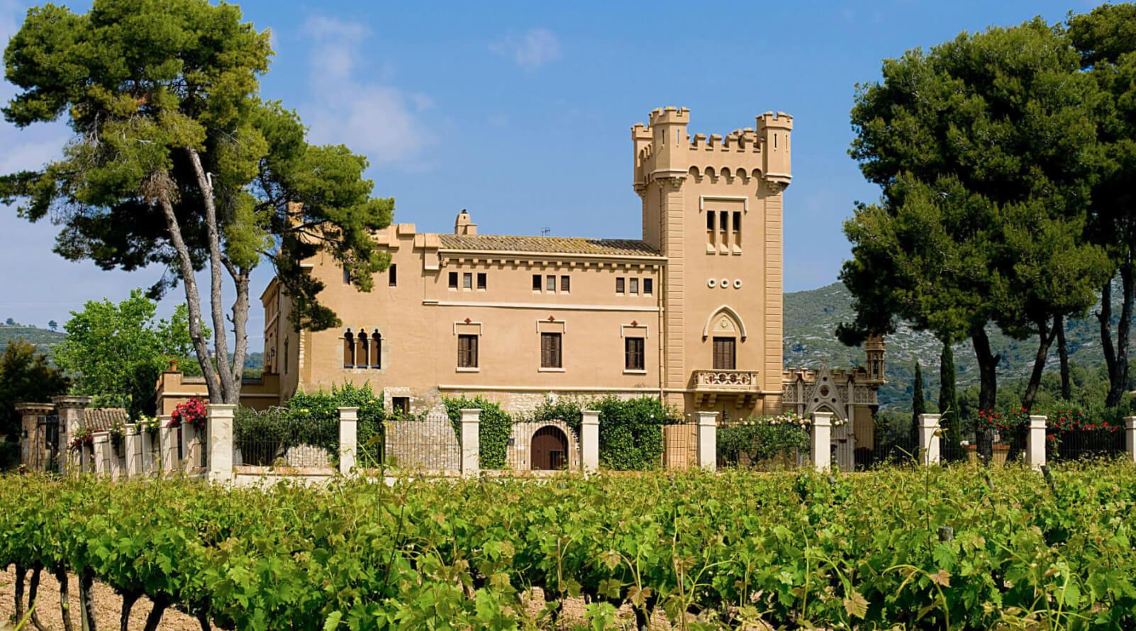 Imatge del celler Torre del Veguer / Cedida