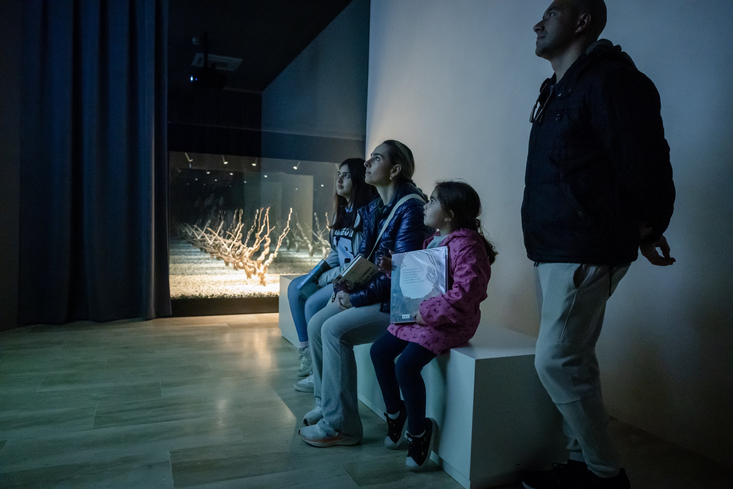 Una de les exposicions de l'interior del VINSEUM, a Vilafranca del Penedès / Cedida