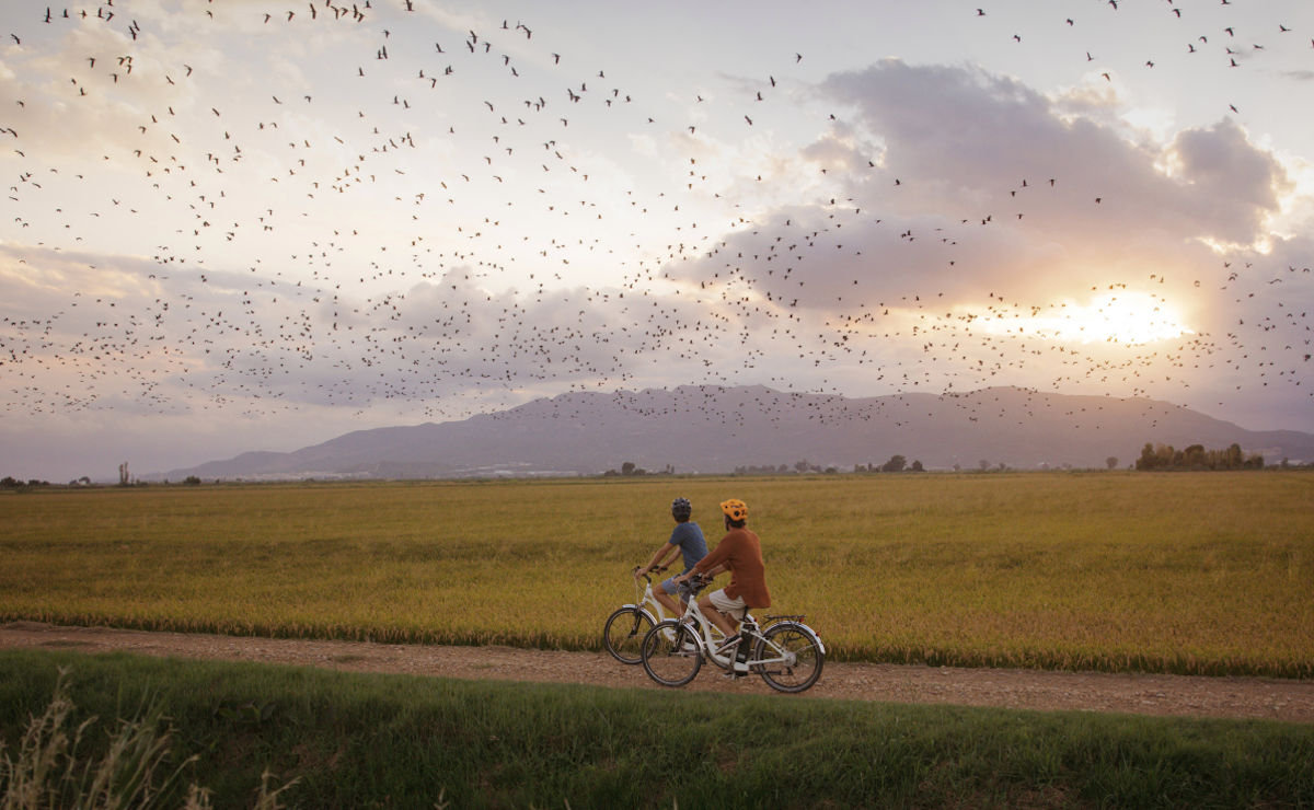 Imatge de dues persones en bicicleta entre vinyes / Agència Catalana de Turisme