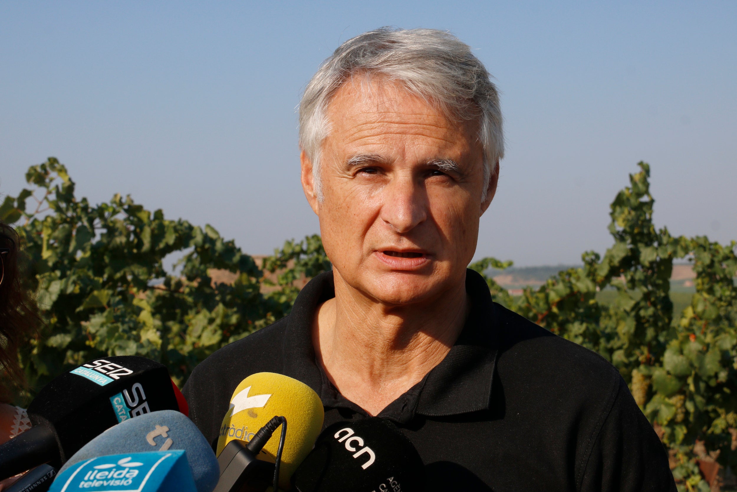 El director del celler Raimat, Joan Esteve, atenent els mitjans / ACN (Roger Segura)