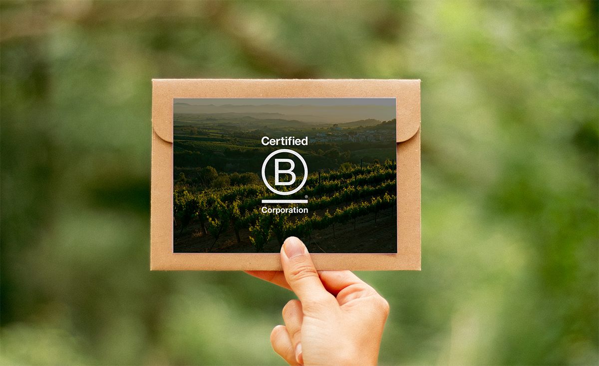 Albet i Noya, pioners en viticultura ecològica, es converteix en empresa B Corp / Cedida