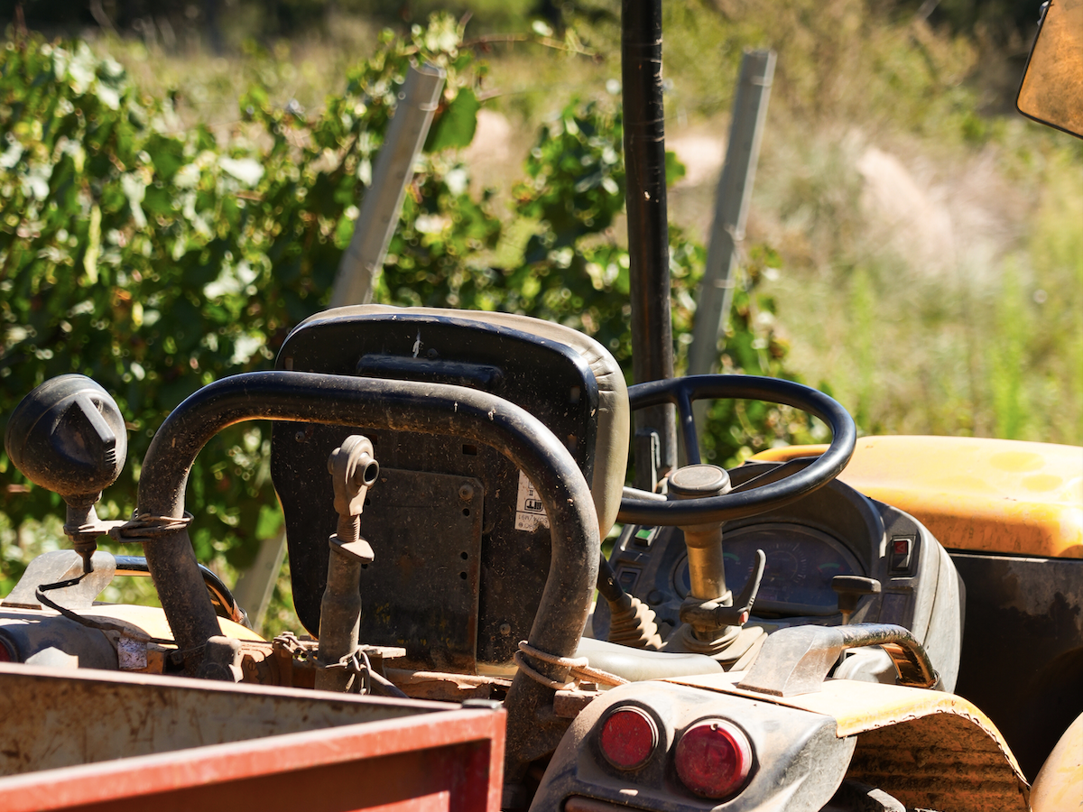 Imagen de un tractor en la vendimia 2025 en la bodega Les Acàcies / Mireia Vilalta