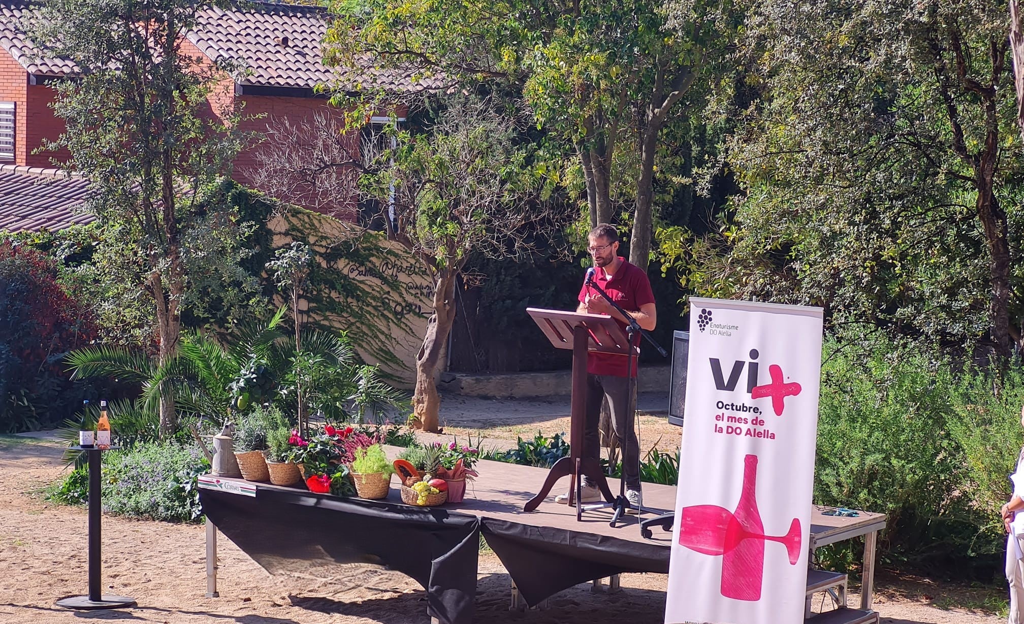El festival Vi+ organitza tasts de vi, maridatges, tallers, música en directe i sortides a la natura per conèixer el patrimoni històric vinícola de la zona / Consorci d'Enoturisme DO Alella