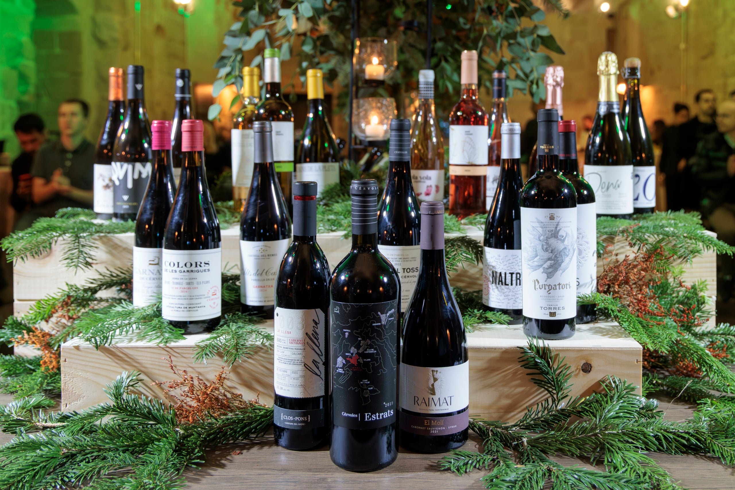 Imatge de totes les ampolles guanyadores del IV Concurs de Vins de la DO Costers del Segre / Anna Munujos