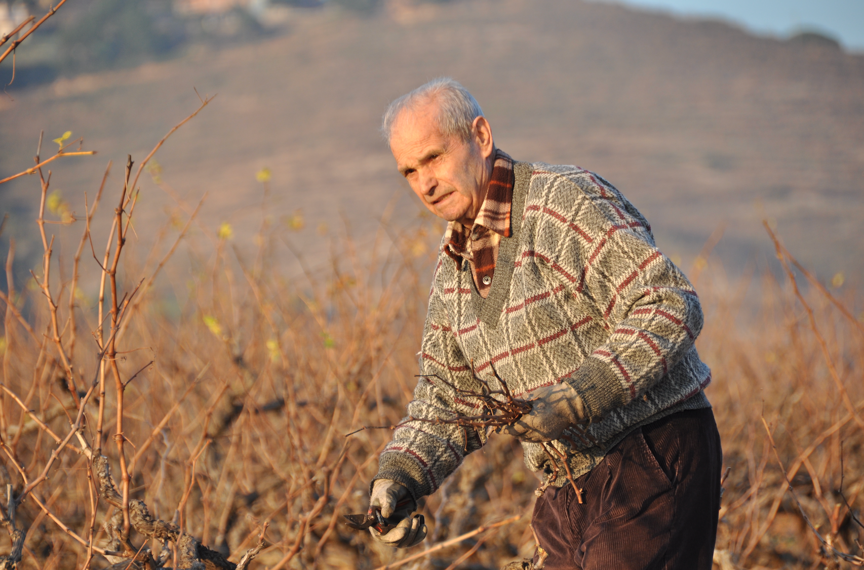 Alejandro García podant la Peça d'en Blanch / O.P.