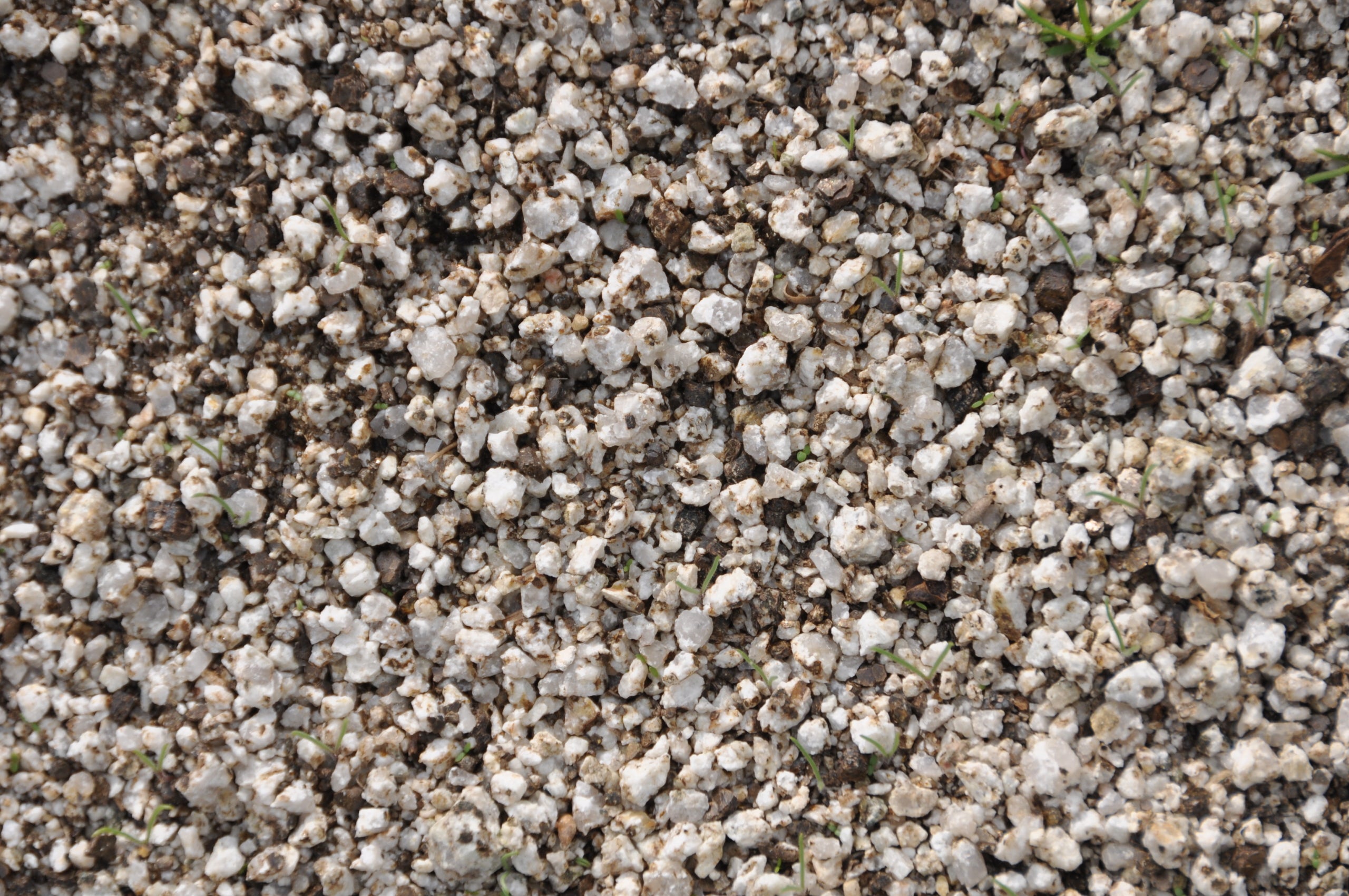 El suelo granítico sauló / cedida