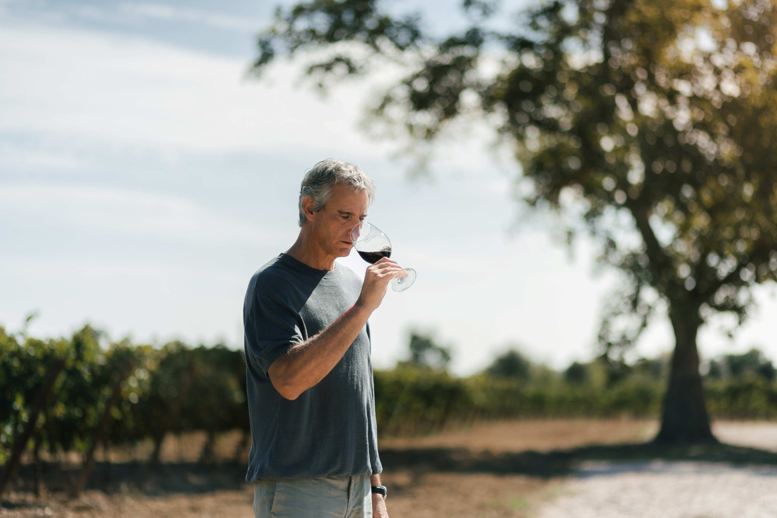 Delfí Sanahuja, director tècnic i enòleg cap del Grup Perelada / Cedida