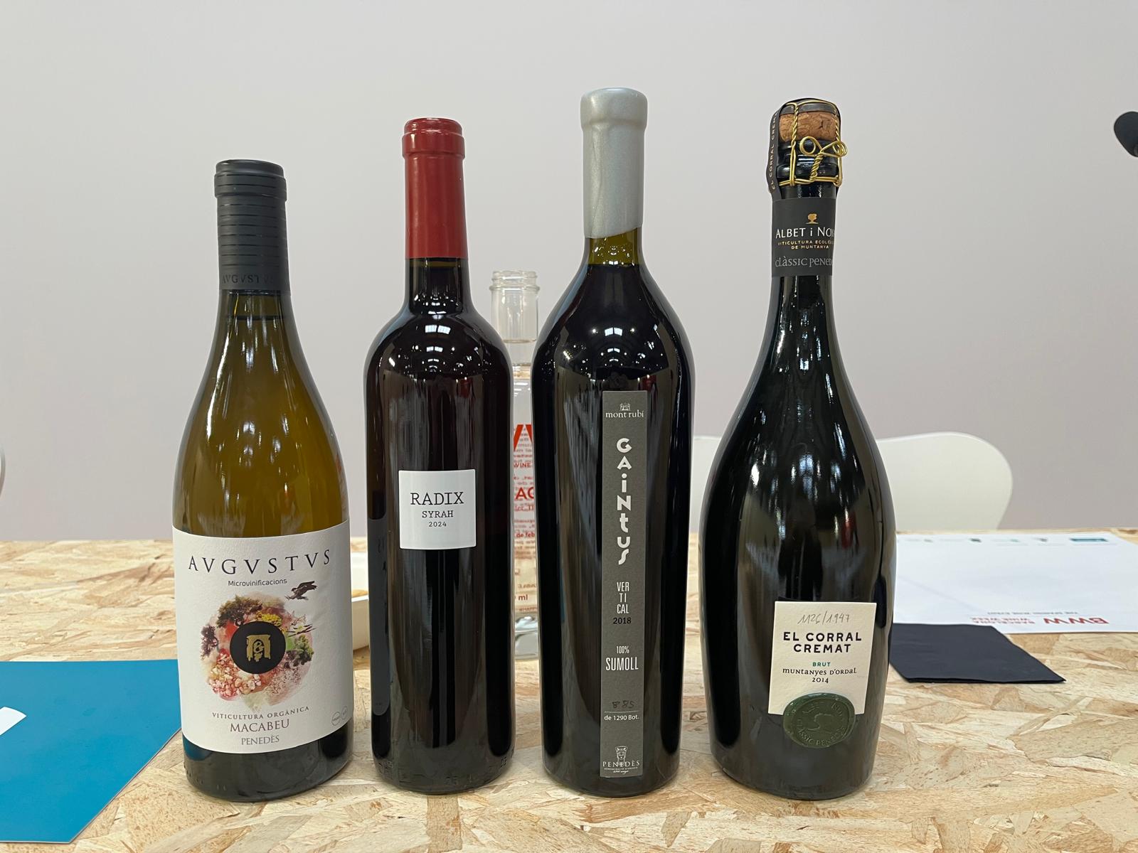 Microvinificació de Macabeu 2018, de Avgvstvs Forvm; Radix 2024, de Parés Baltà; Gaintus Vertical 2018, del celler Montrubí; i Corral Cremat 2014, d'Albet i Noya / J.C.