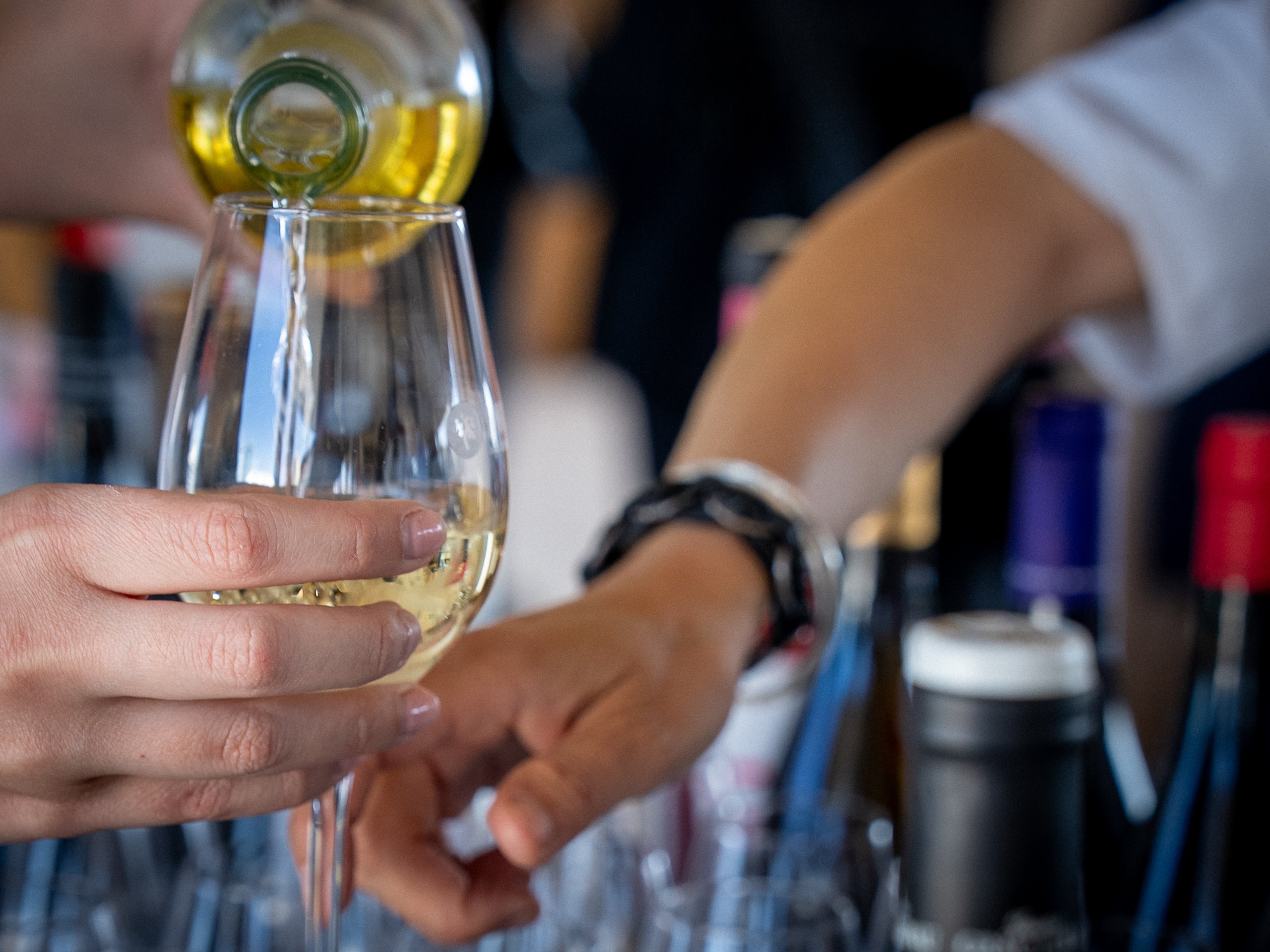 Imagen de la barra de vinos catalanes del INCAVI en la 080 Barcelona Fashion / Cedida