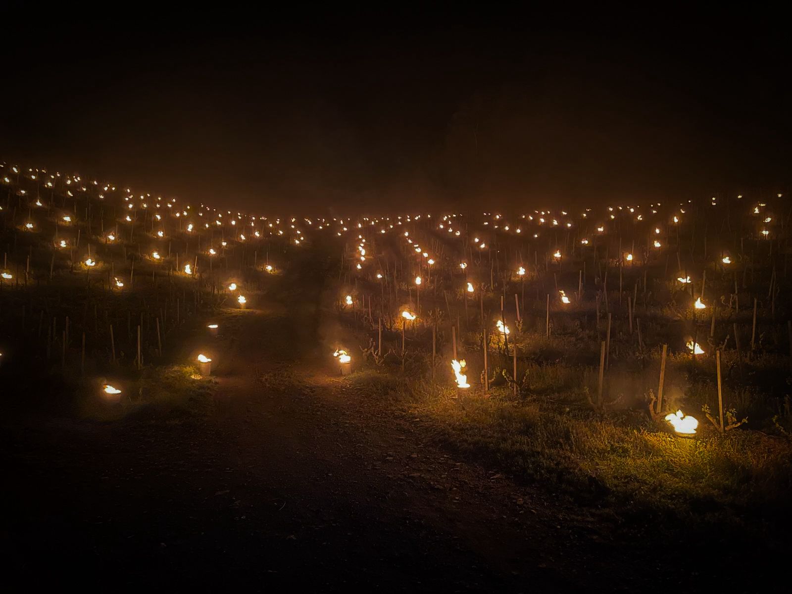 Imagen de una de las parcelas de Venus La Universal con velas encendidas / Cedida