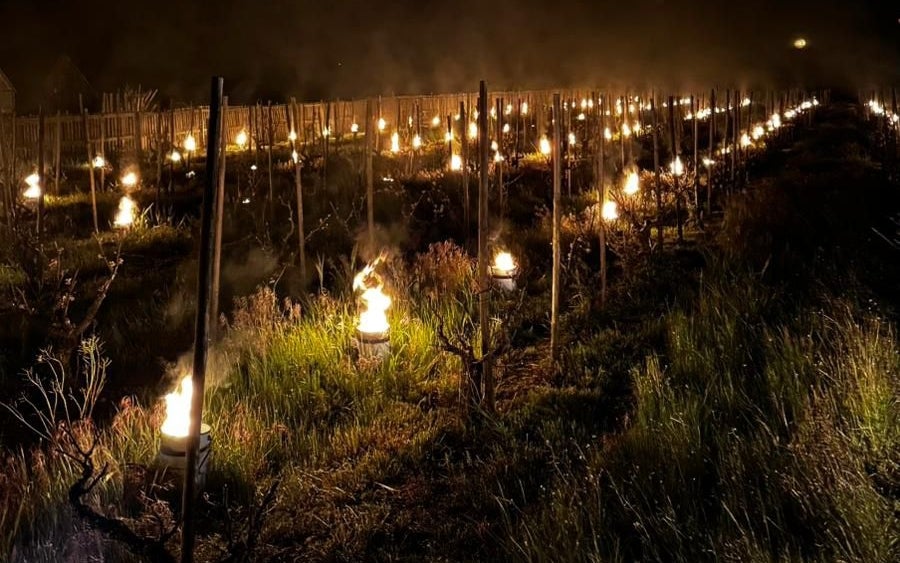 Imagen de una de las parcelas de Venus La Universal con velas encendidas / Cedida