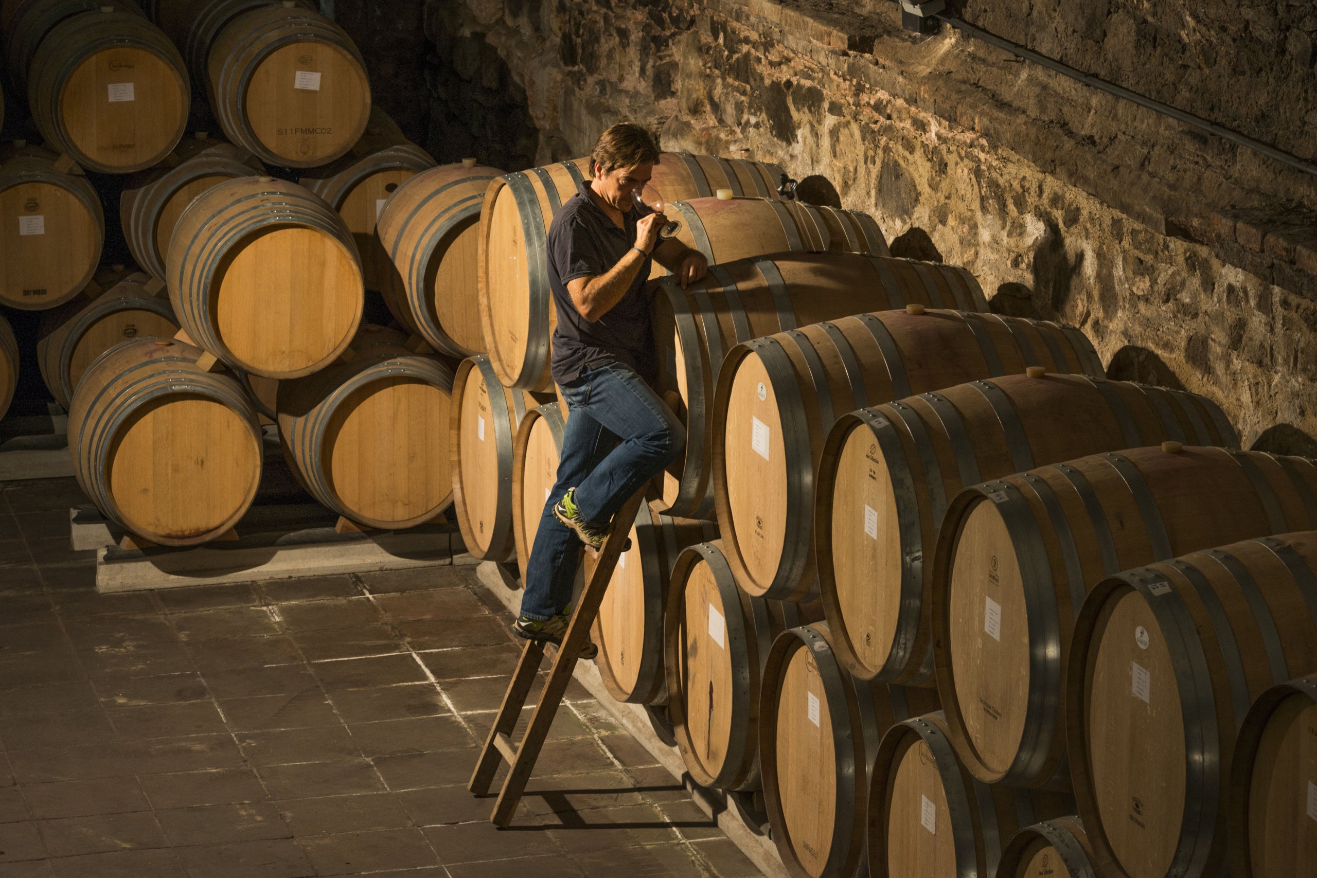 Ricard Rofes, l'enòleg i director tècnic de Cellers Scala Dei / Cedida