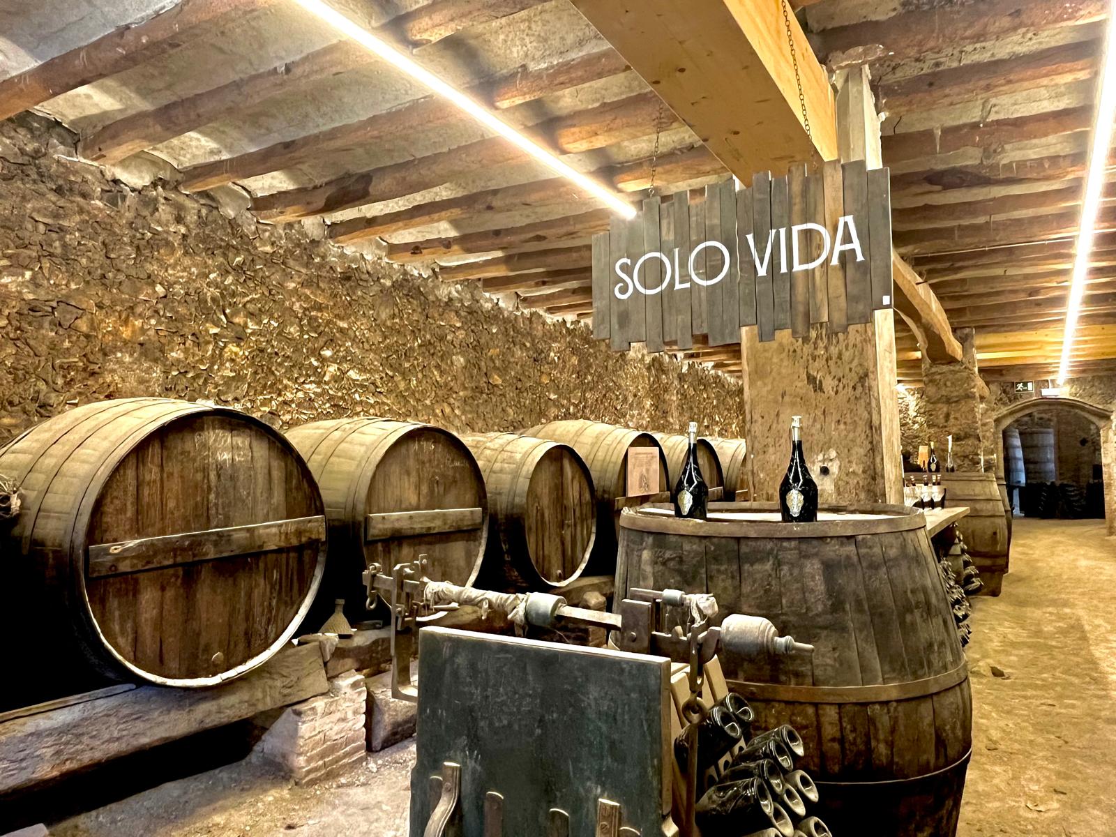 Celler on s'ha presentat la marca Solo Vida / J.C.
