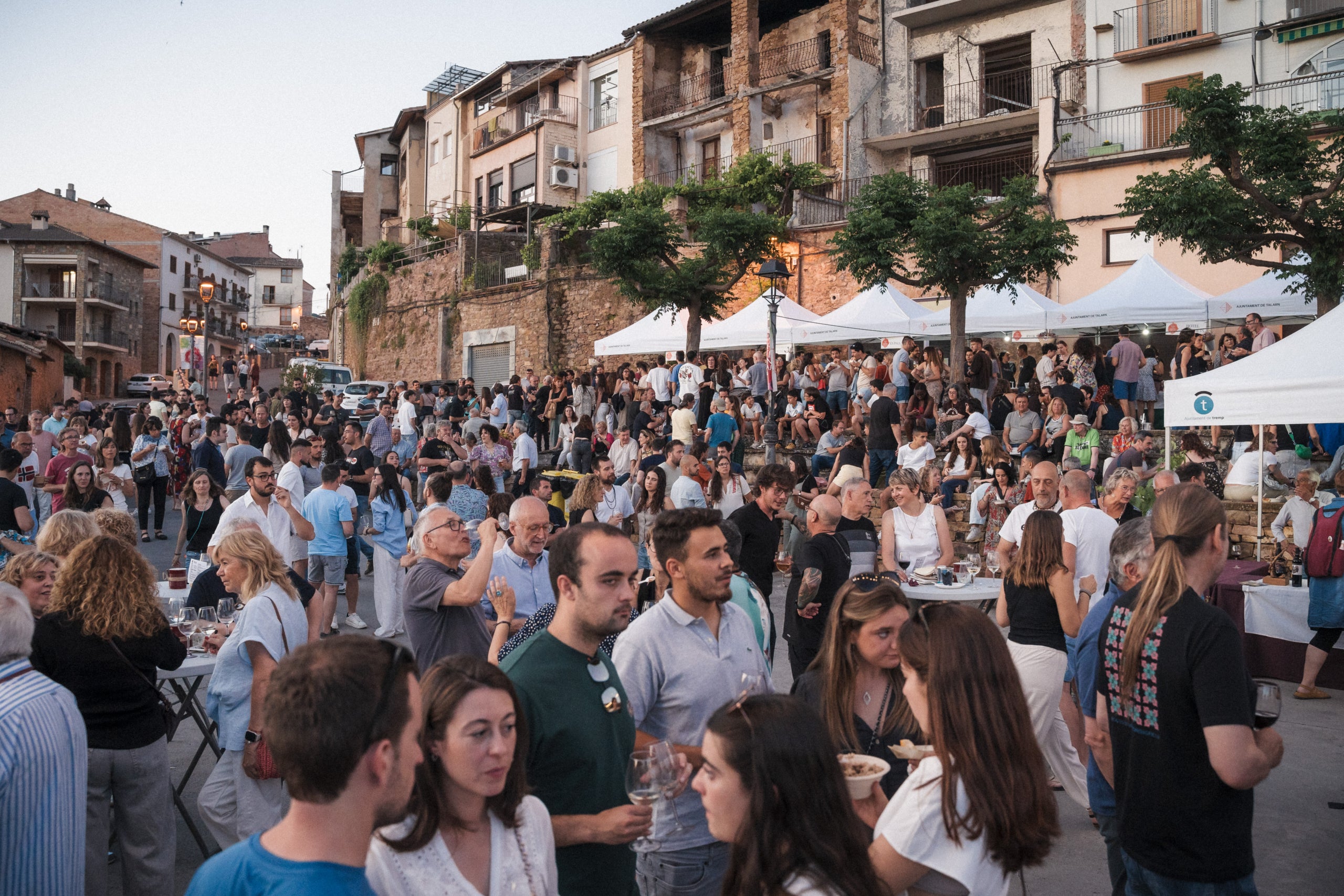 Imatge d'una edició anterior de la Fira de Vi del Pirineu a Talarn / Cedida